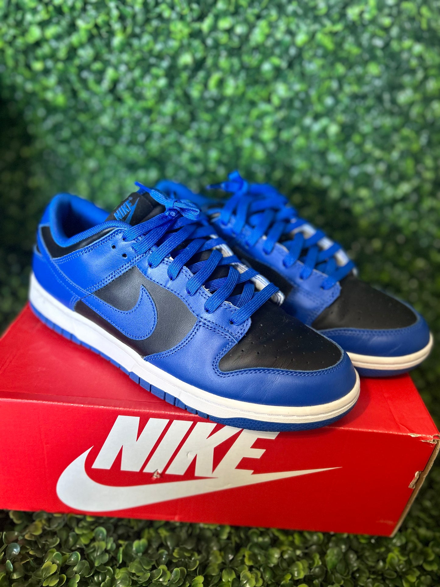 Nike dunk size 10