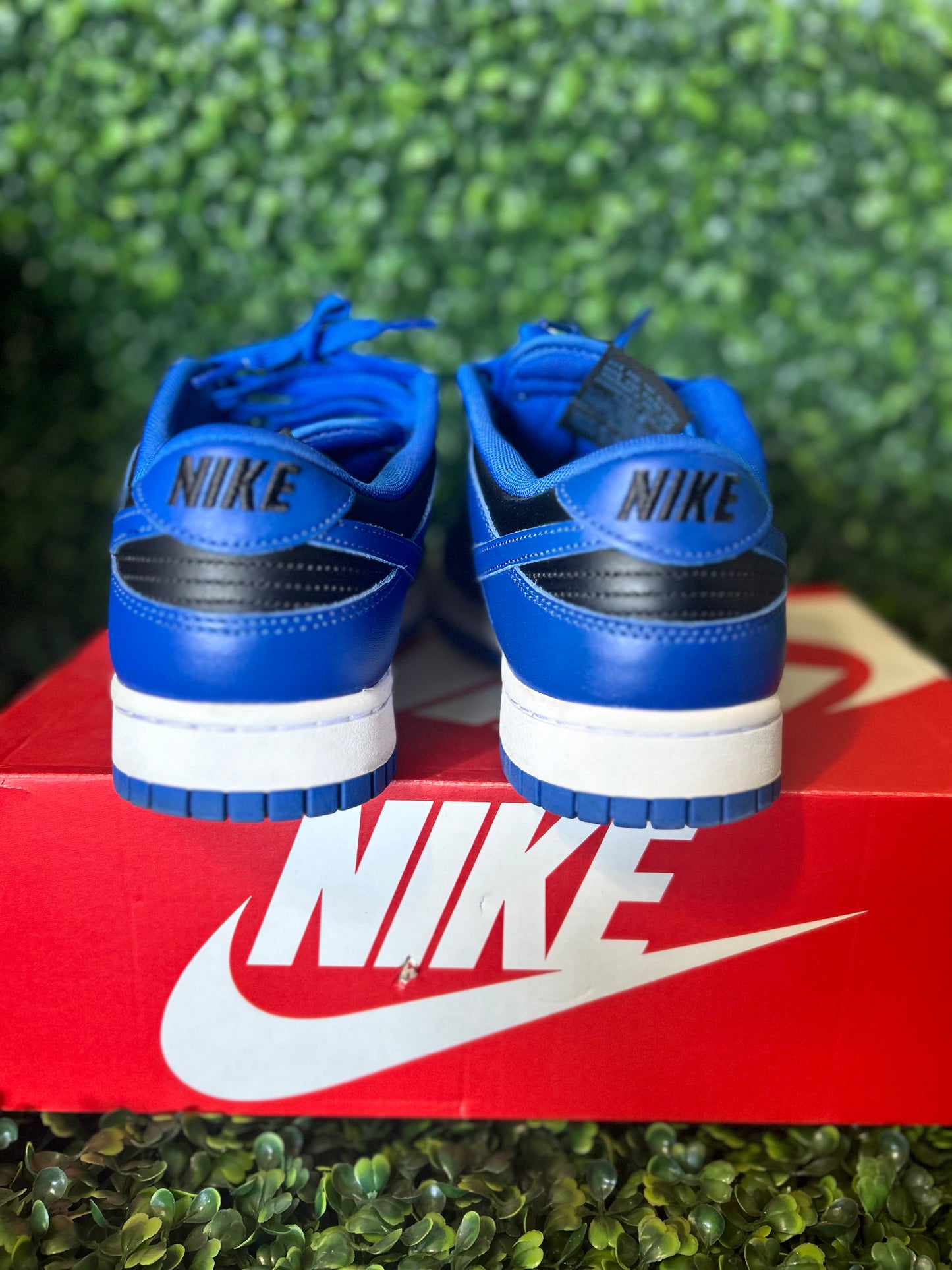 Nike dunk size 10