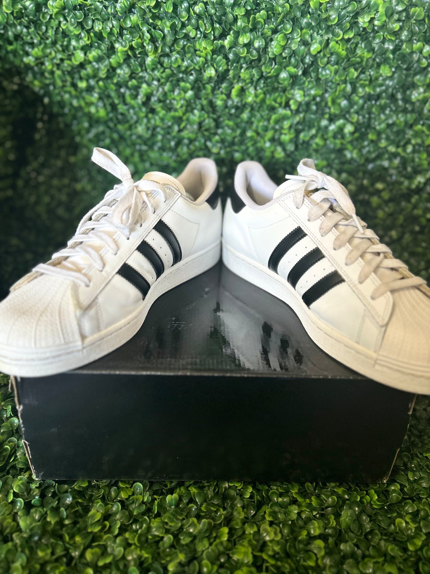 Adidas superstar size 12