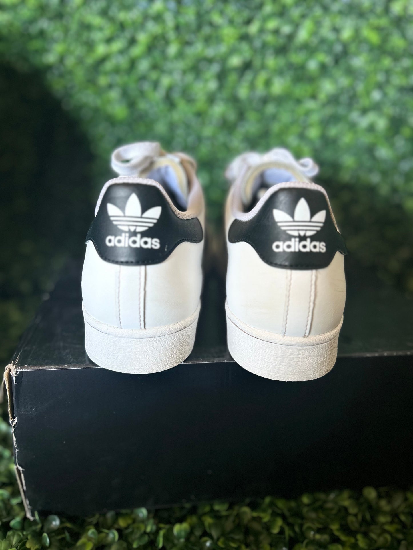 Adidas superstar size 12