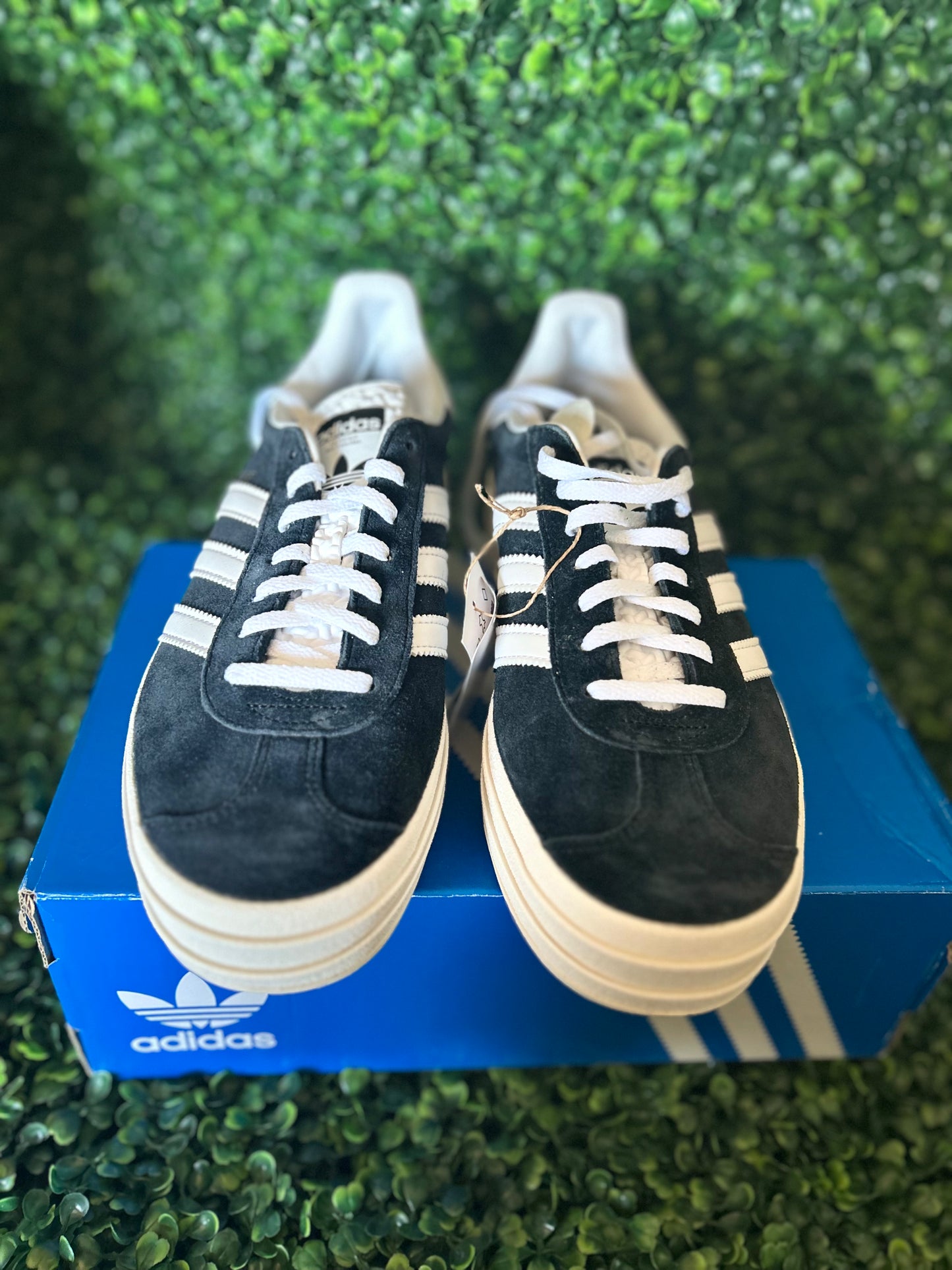 Adidas gazelle bold size 9wmns
