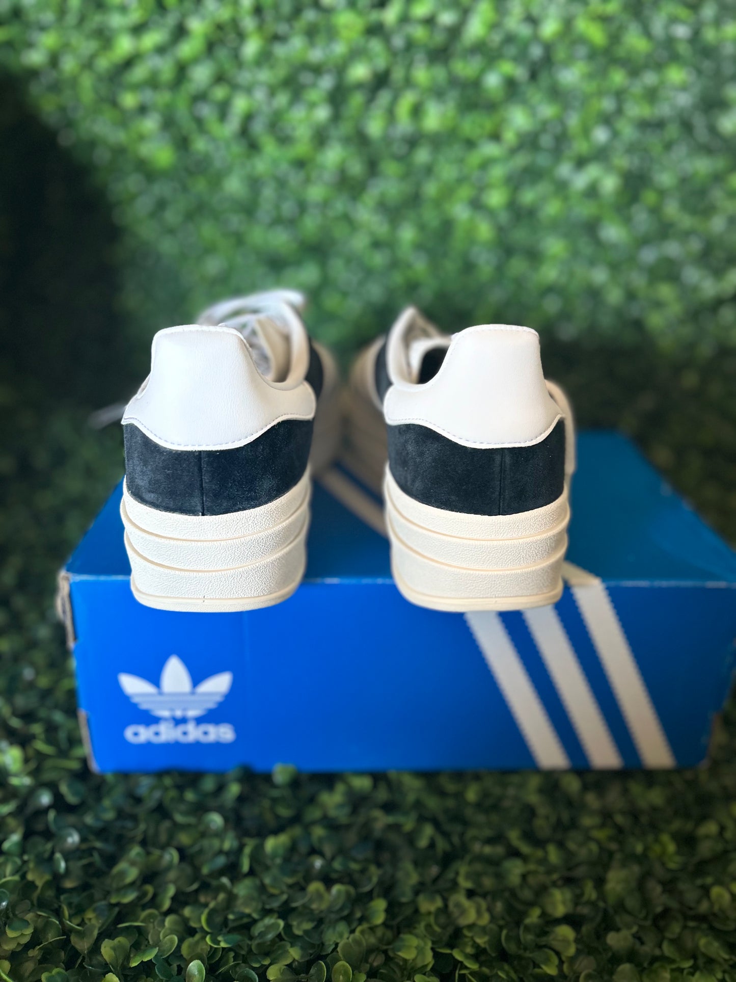 Adidas gazelle bold size 9wmns