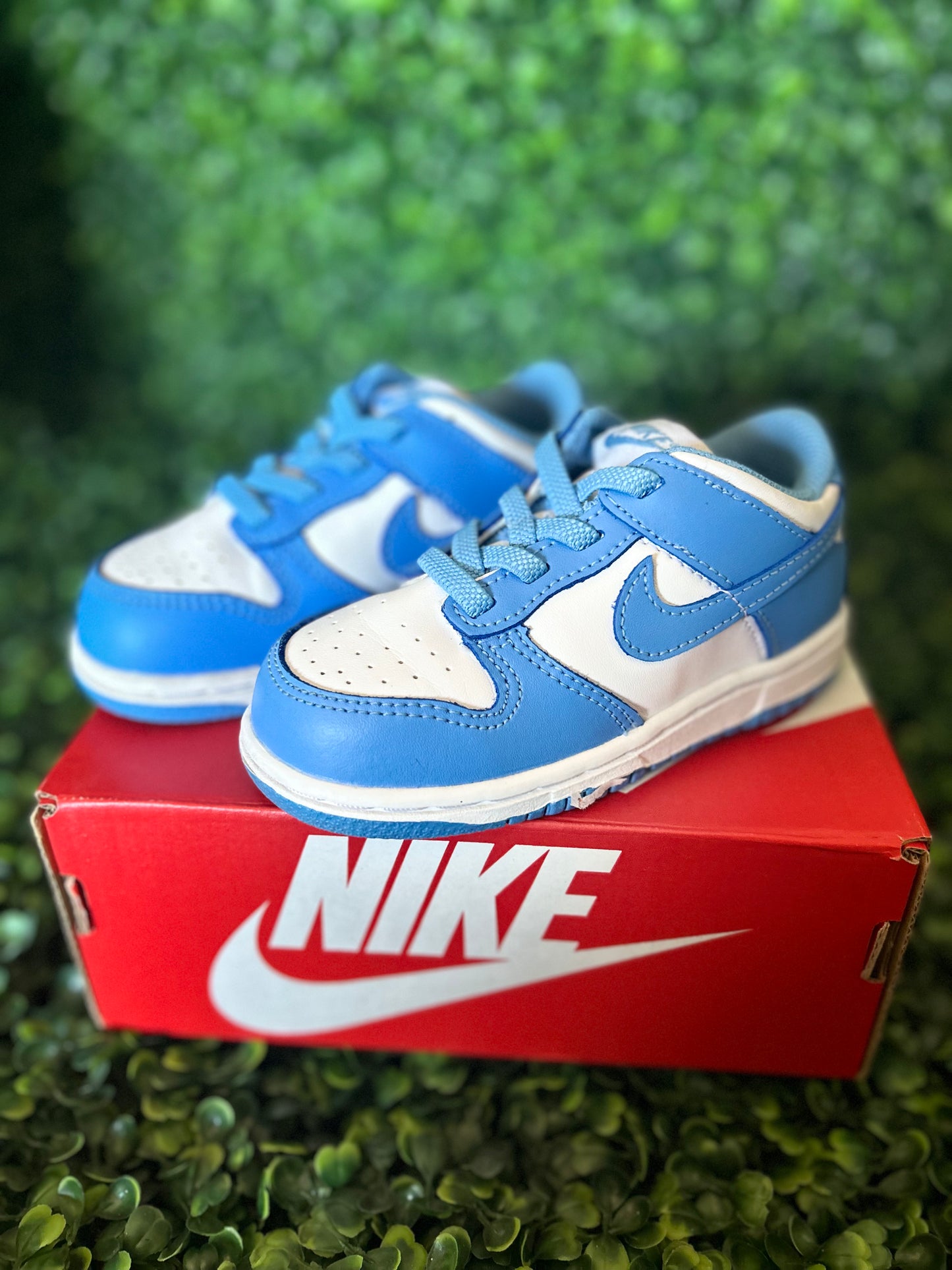 Nike dunk size 8c
