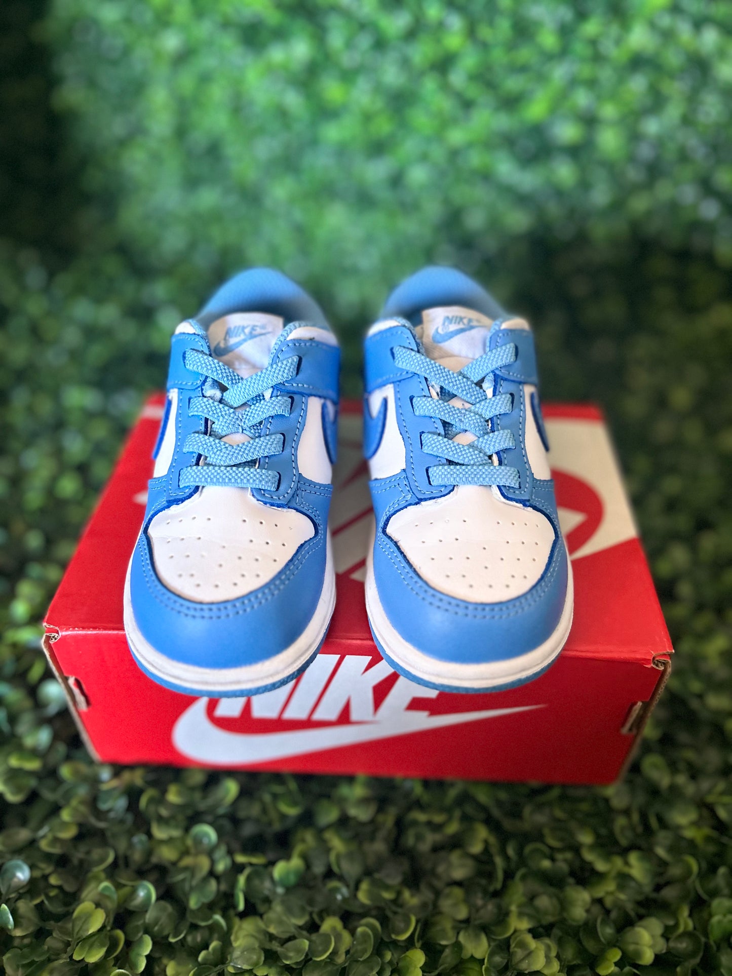 Nike dunk size 8c