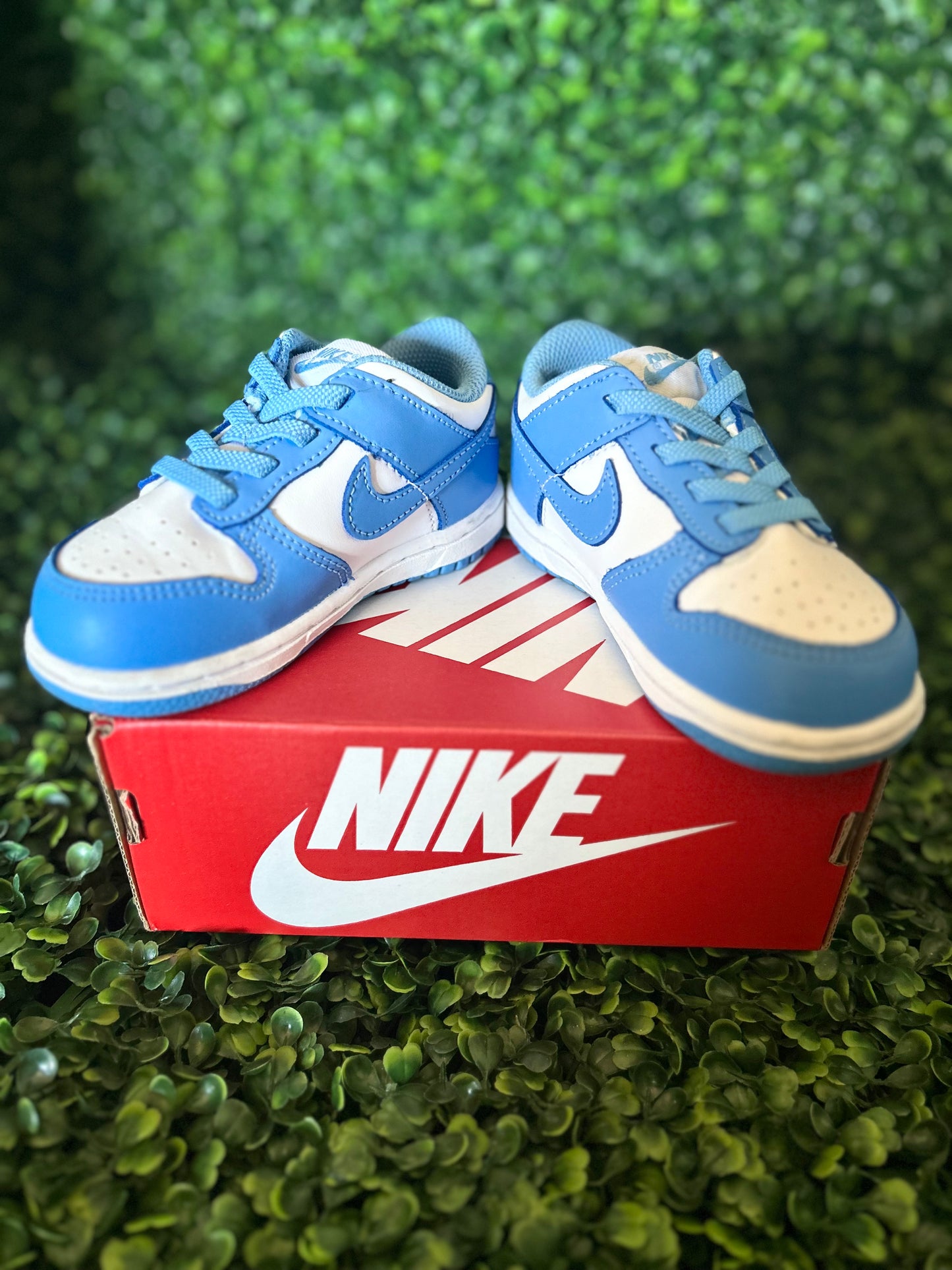 Nike dunk size 8c