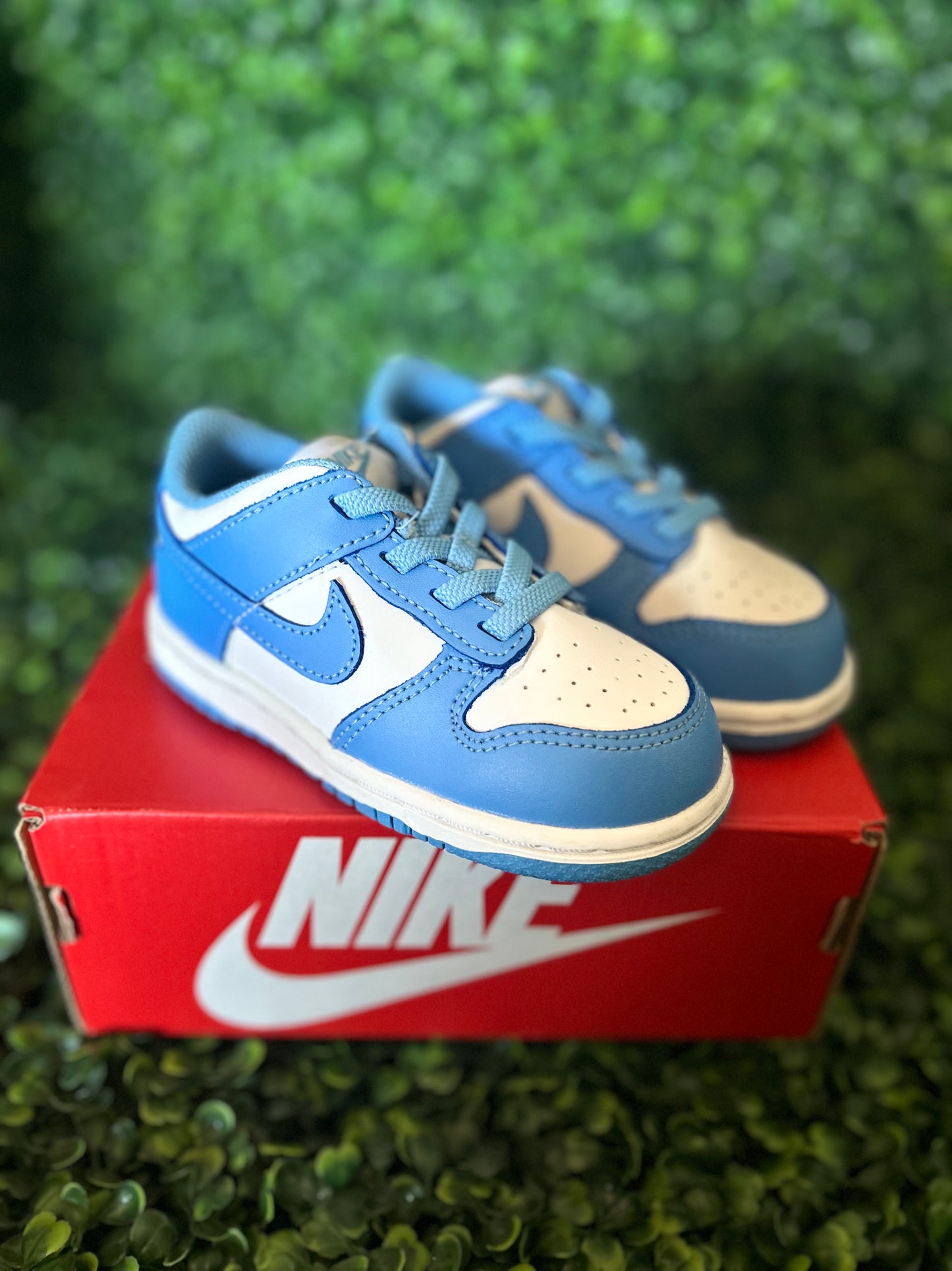 Nike dunk size 8c