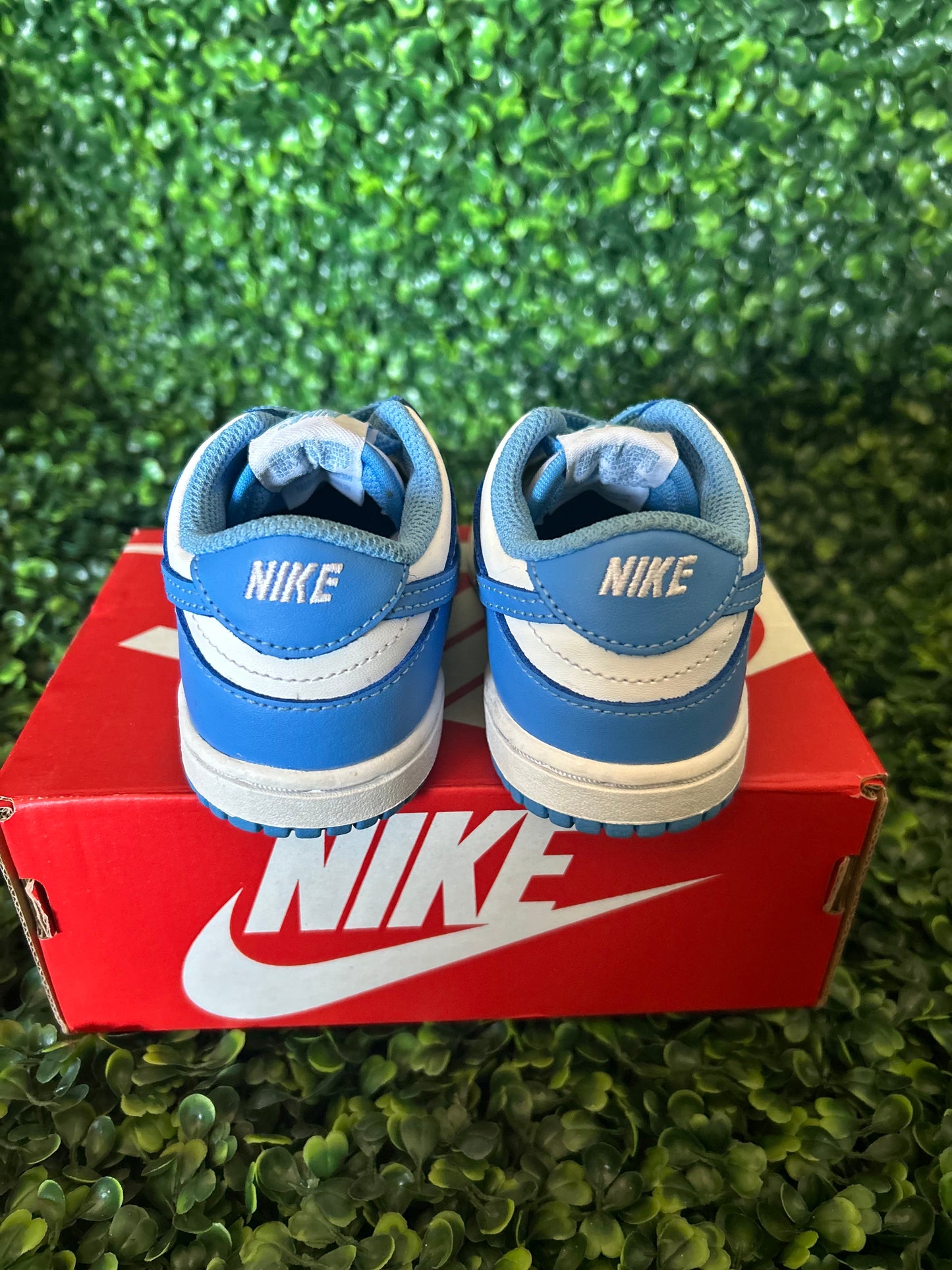 Nike dunk size 8c