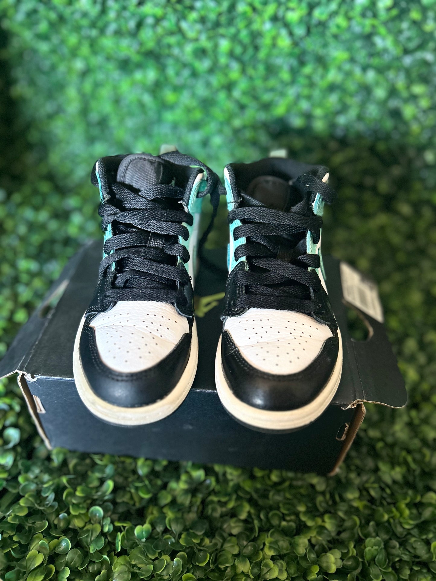 Jordan 1 size 12c