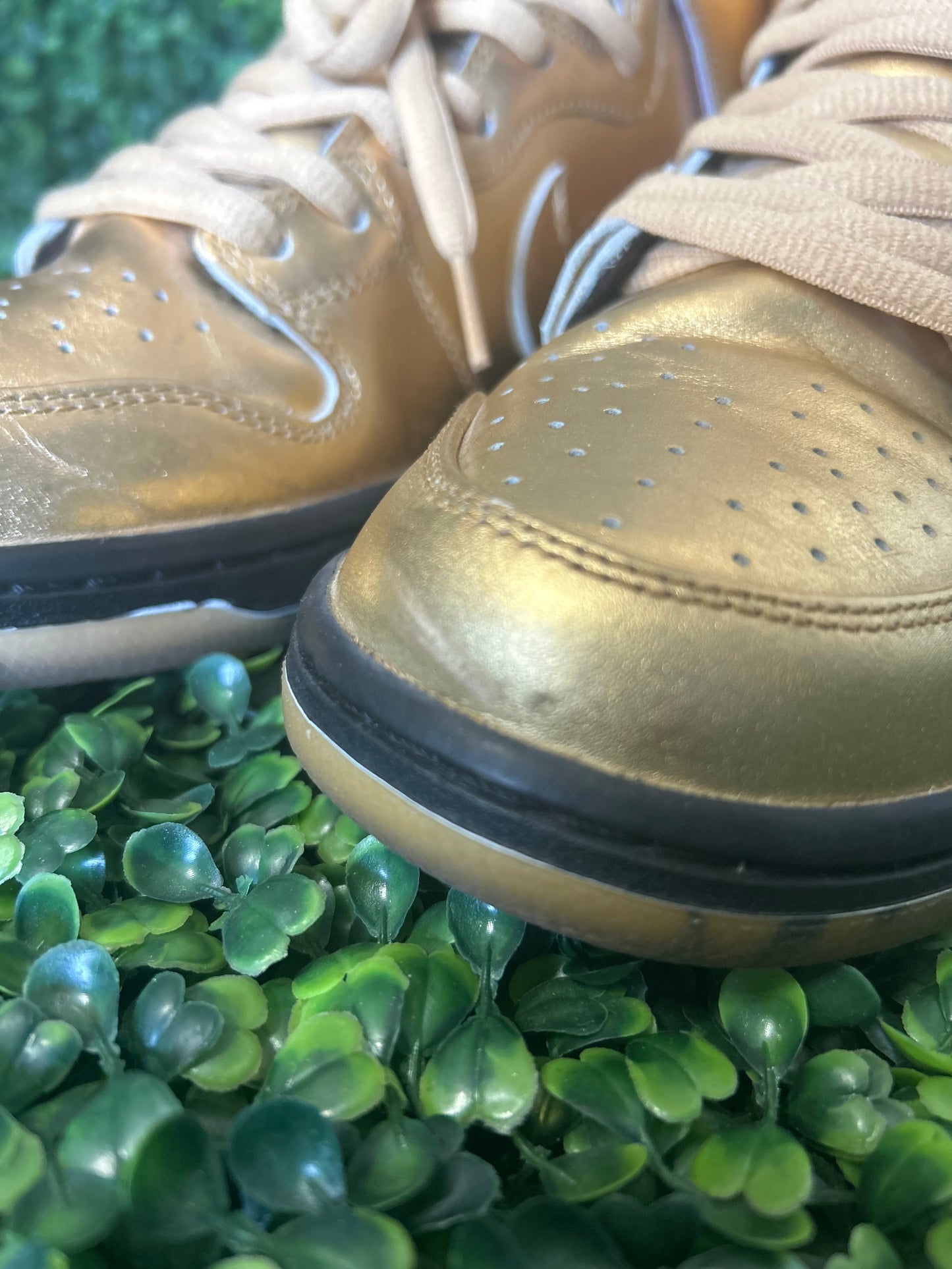 Nike sb dunk size 10