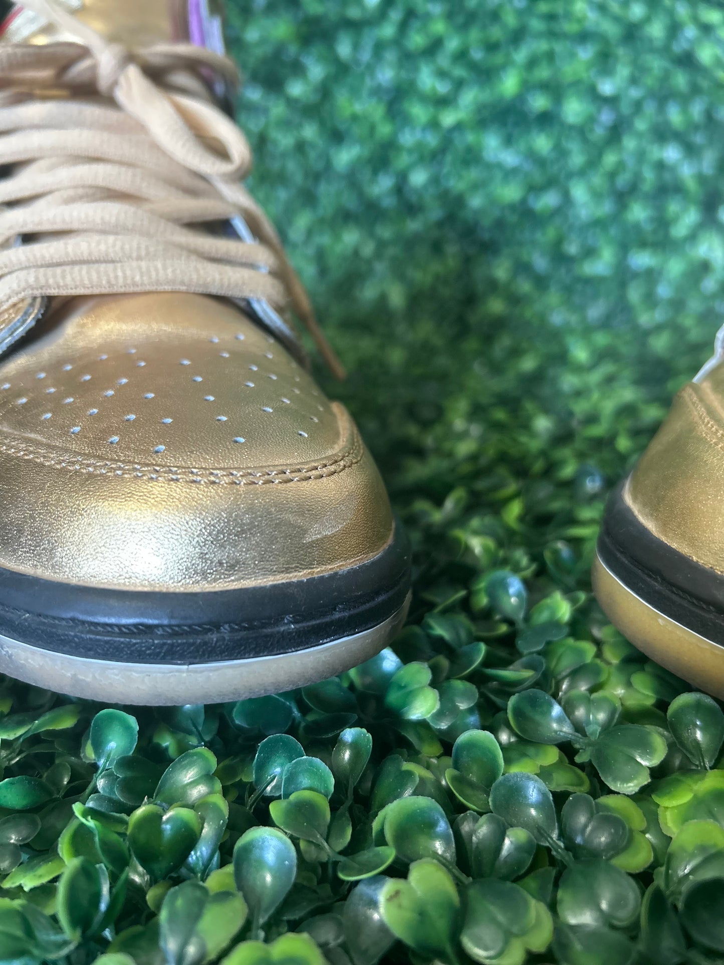 Nike sb dunk size 10