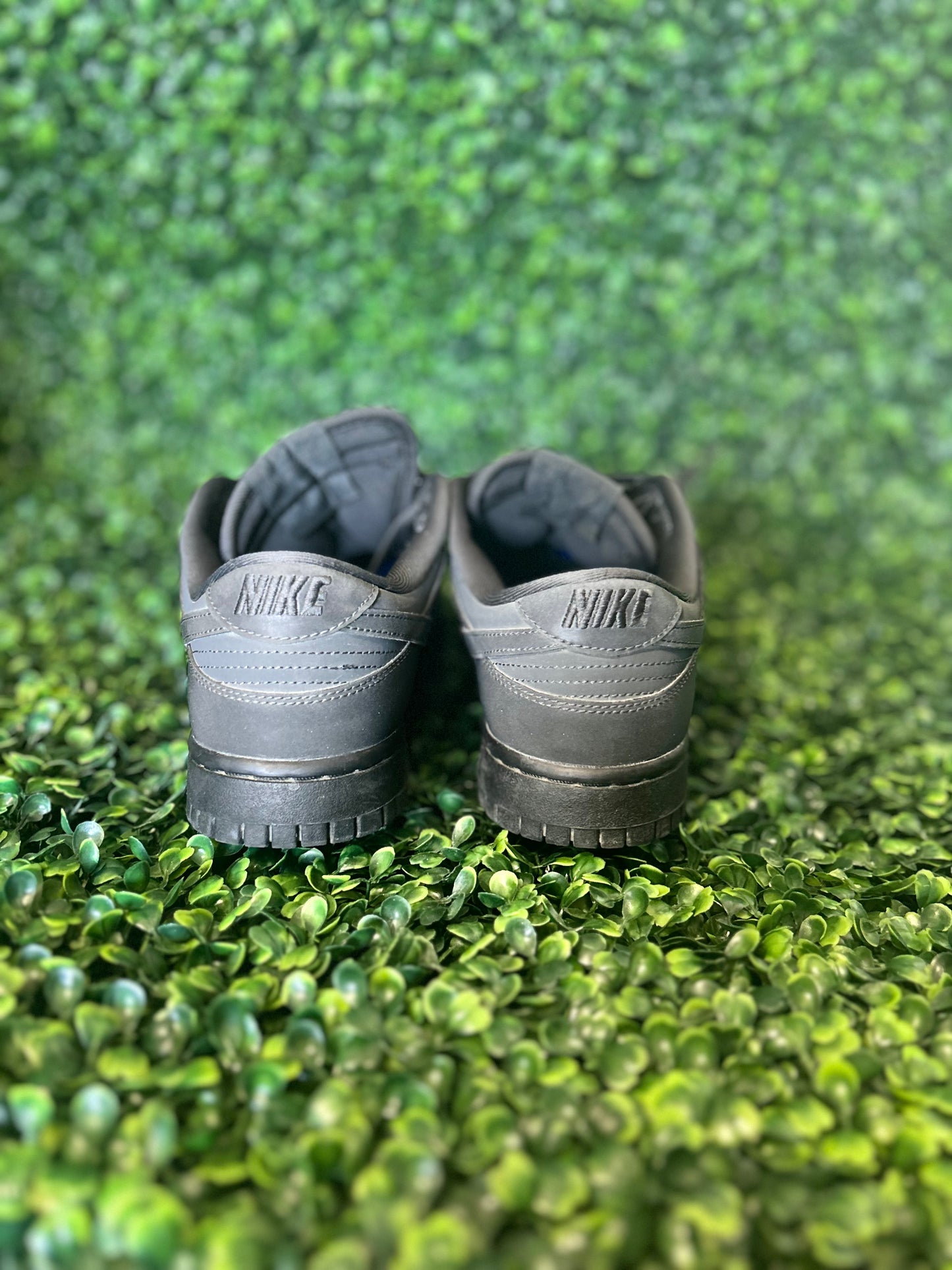 Nike dunk size 9 wmns