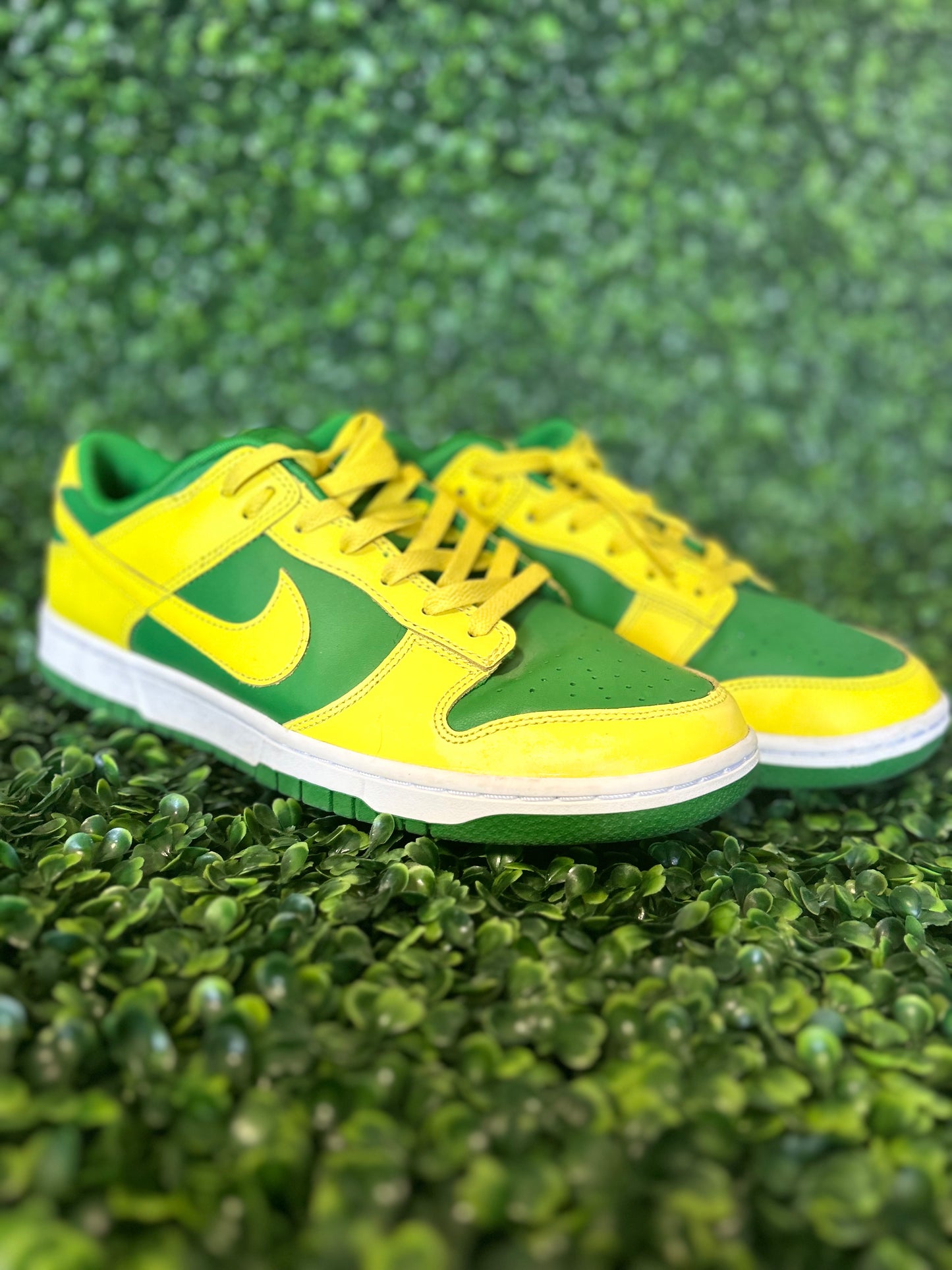 Nike dunk size 10