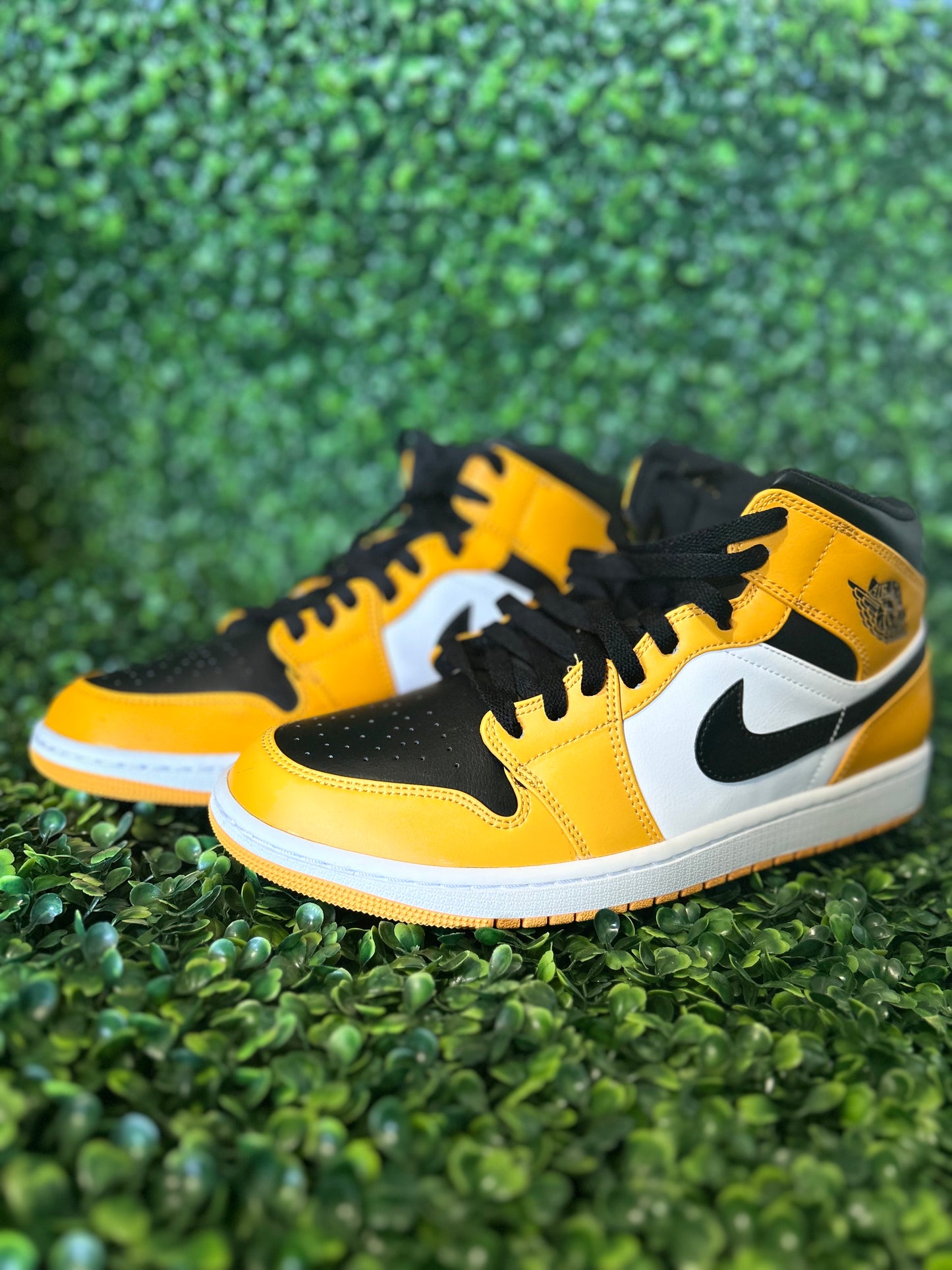 Jordan 1 size 11