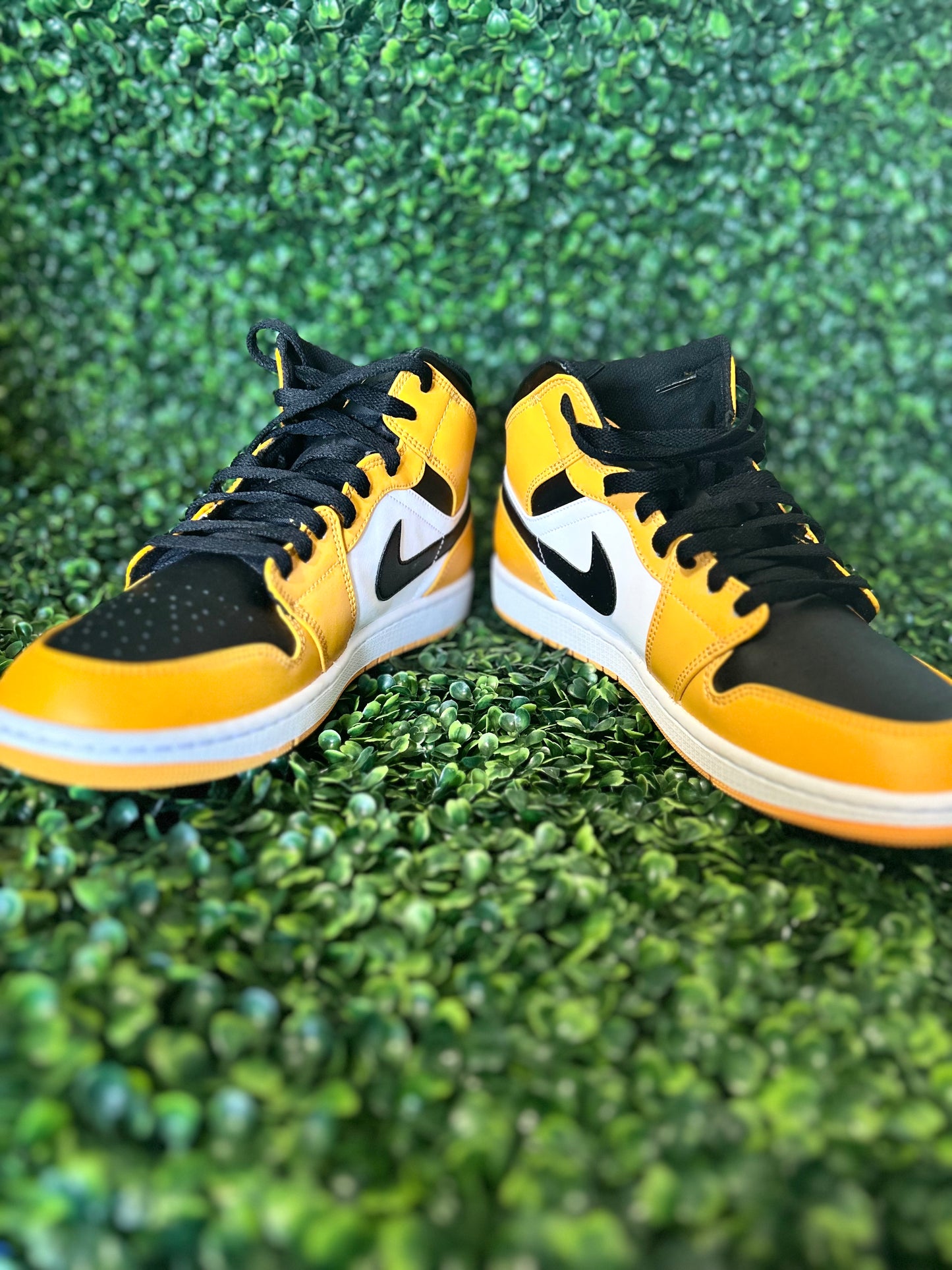 Jordan 1 size 11