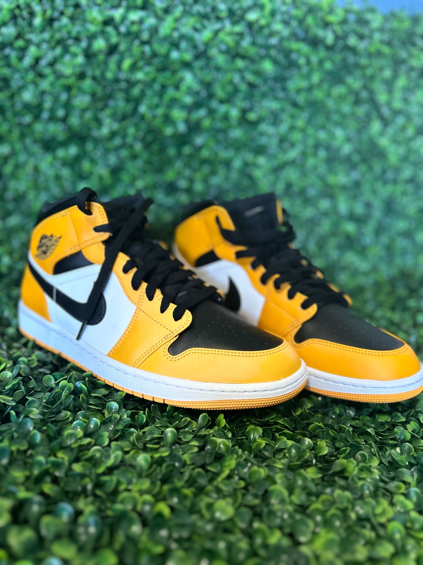 Jordan 1 size 11