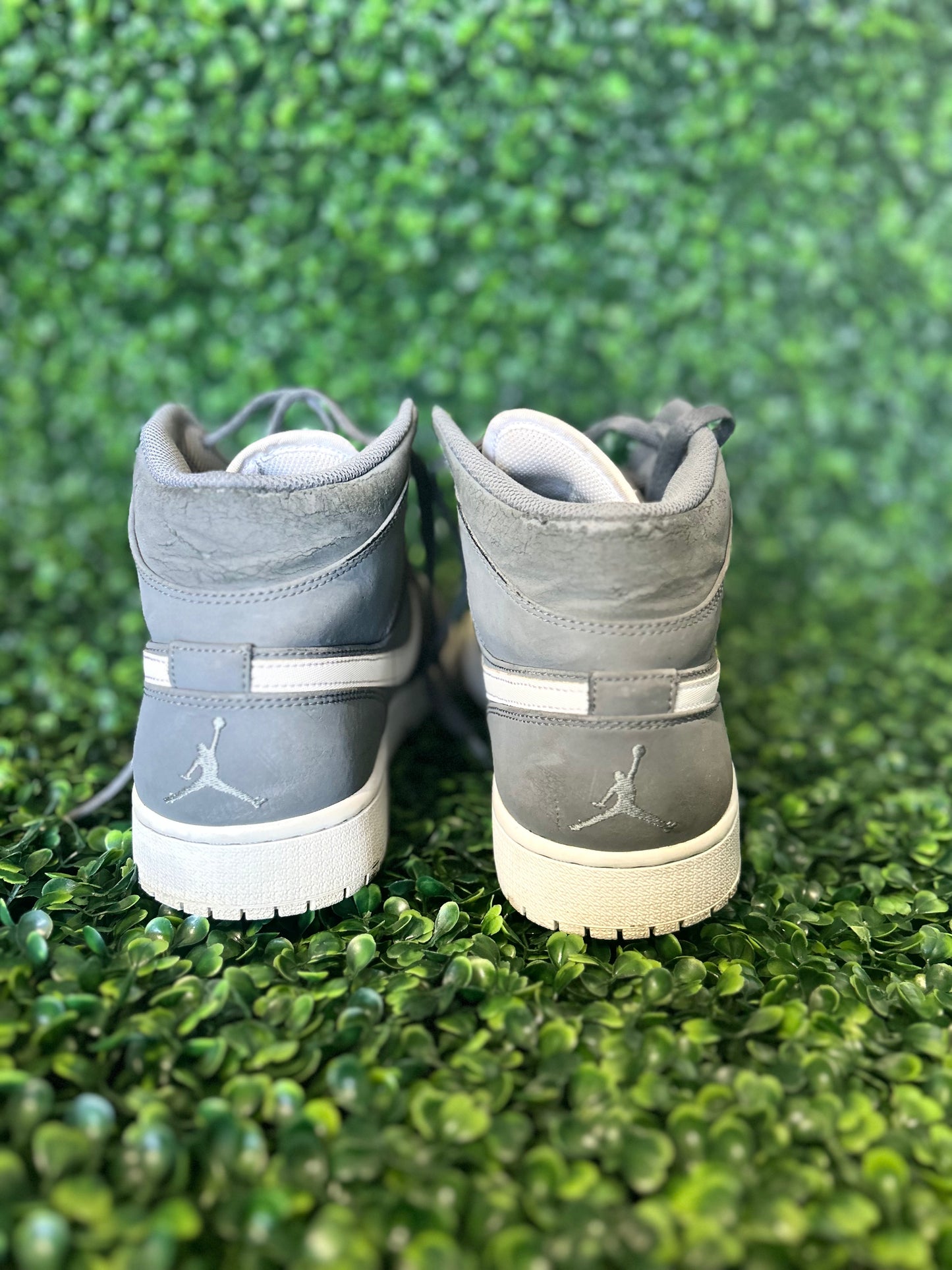 Jordan 1 size 12