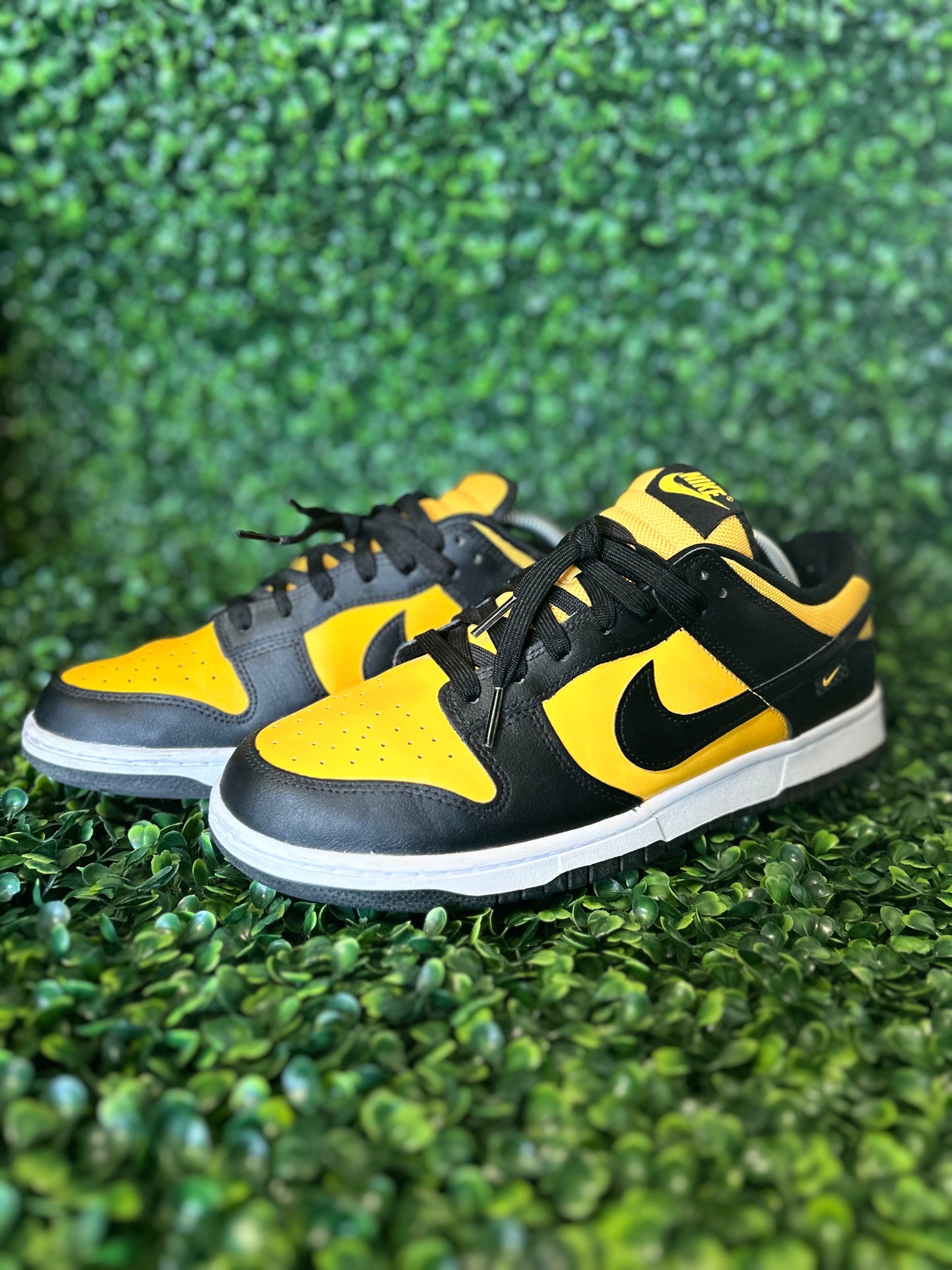 Nike dunk size 10