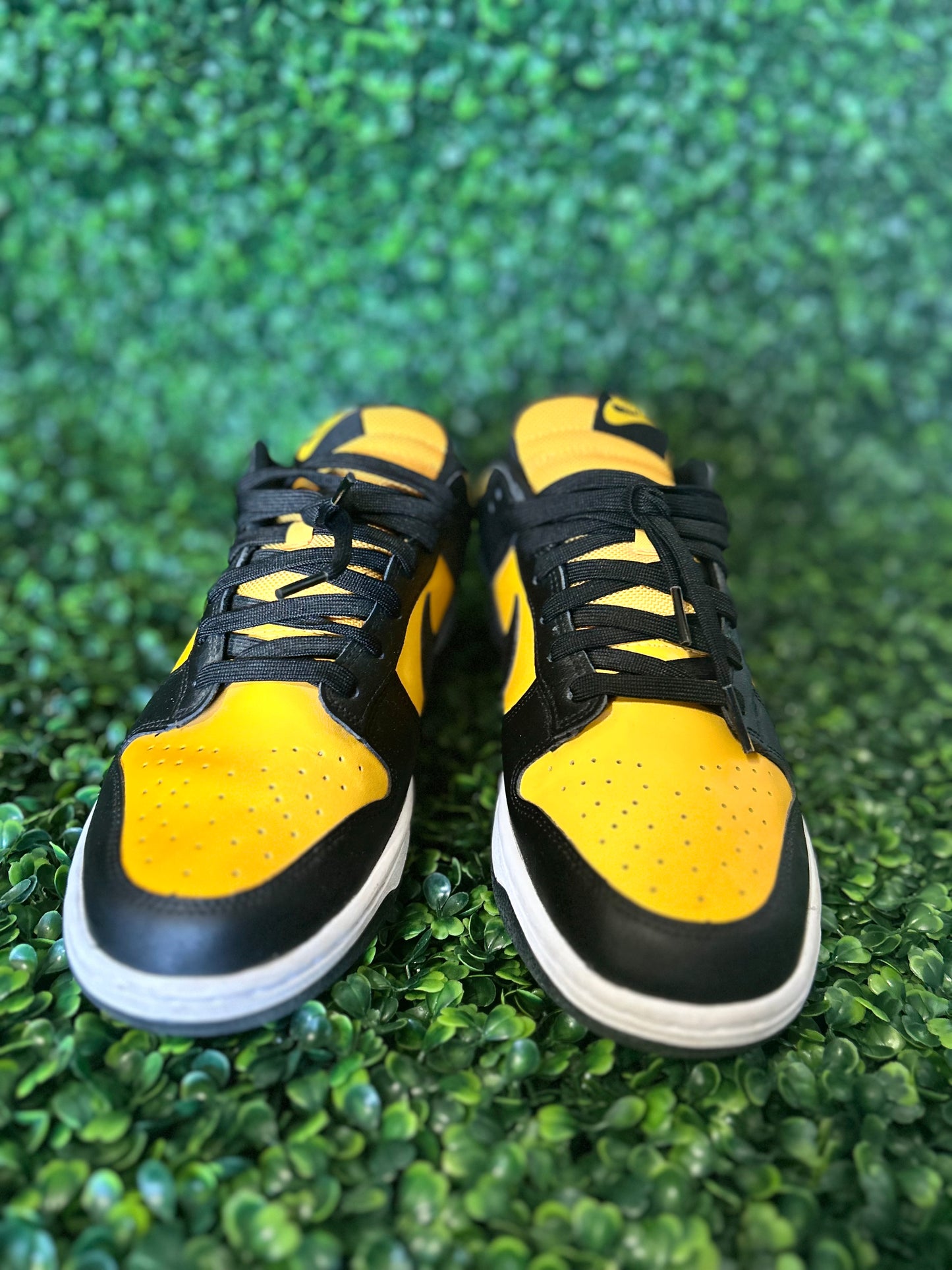 Nike dunk size 10