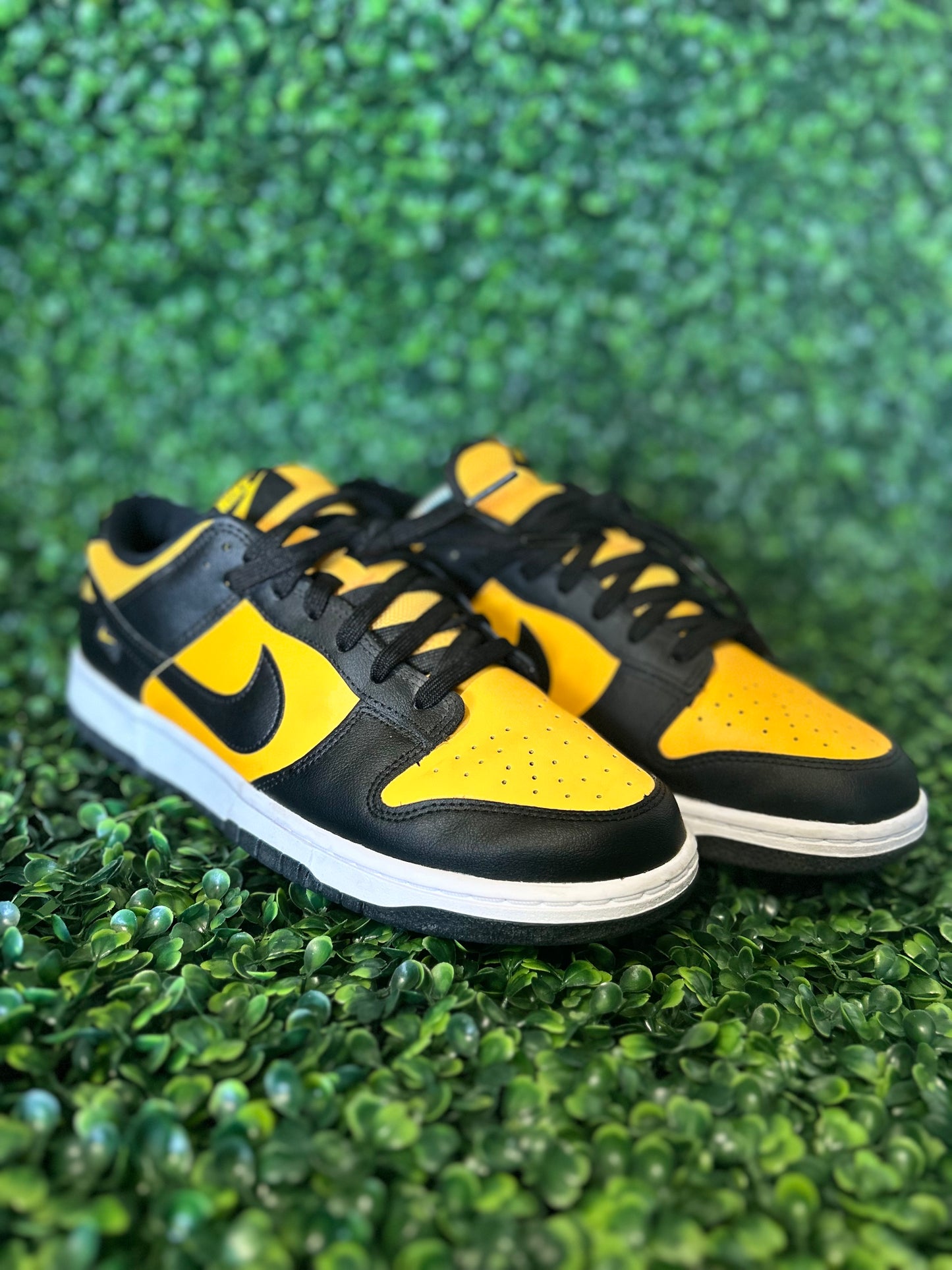 Nike dunk size 10