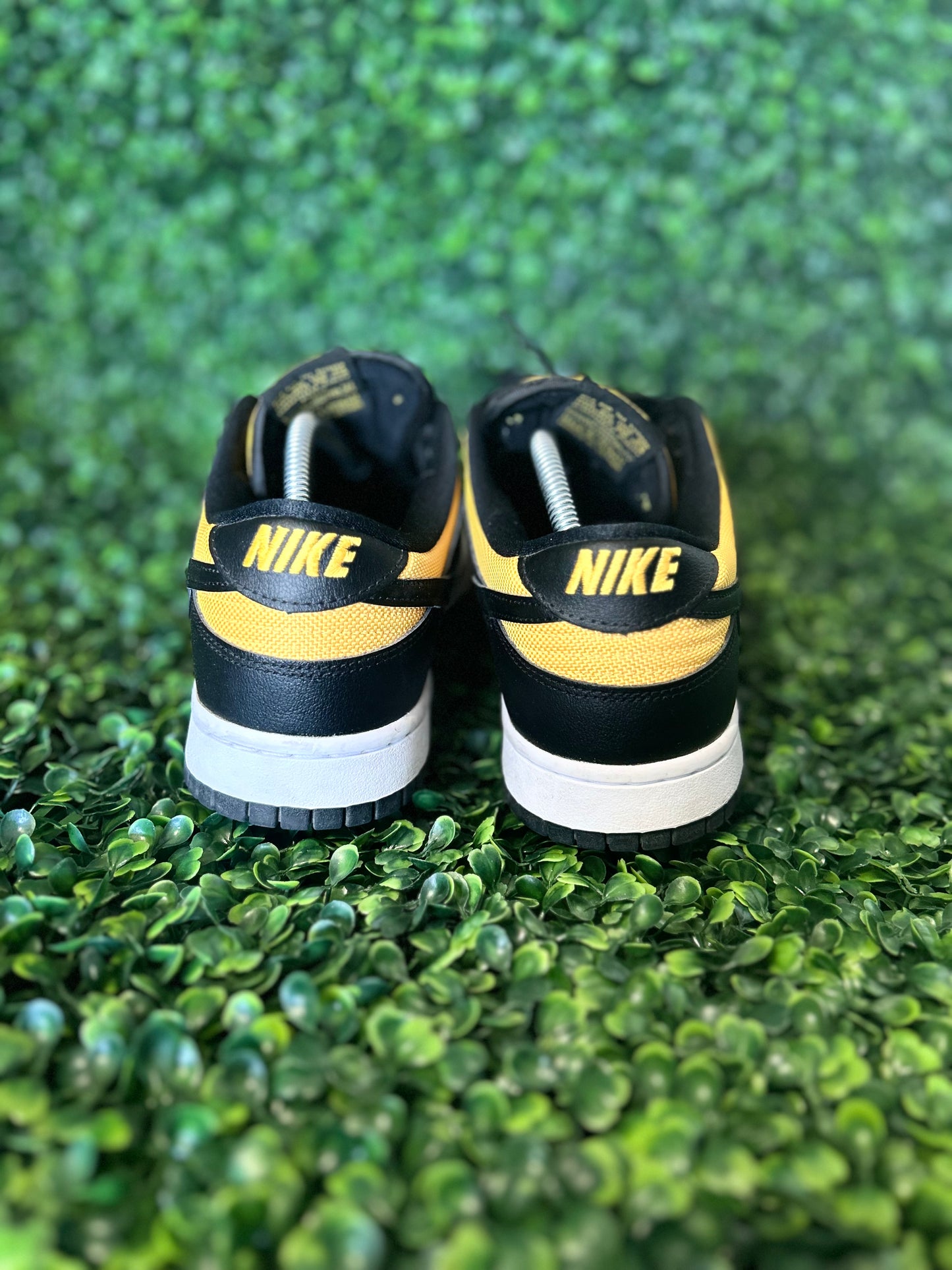 Nike dunk size 10