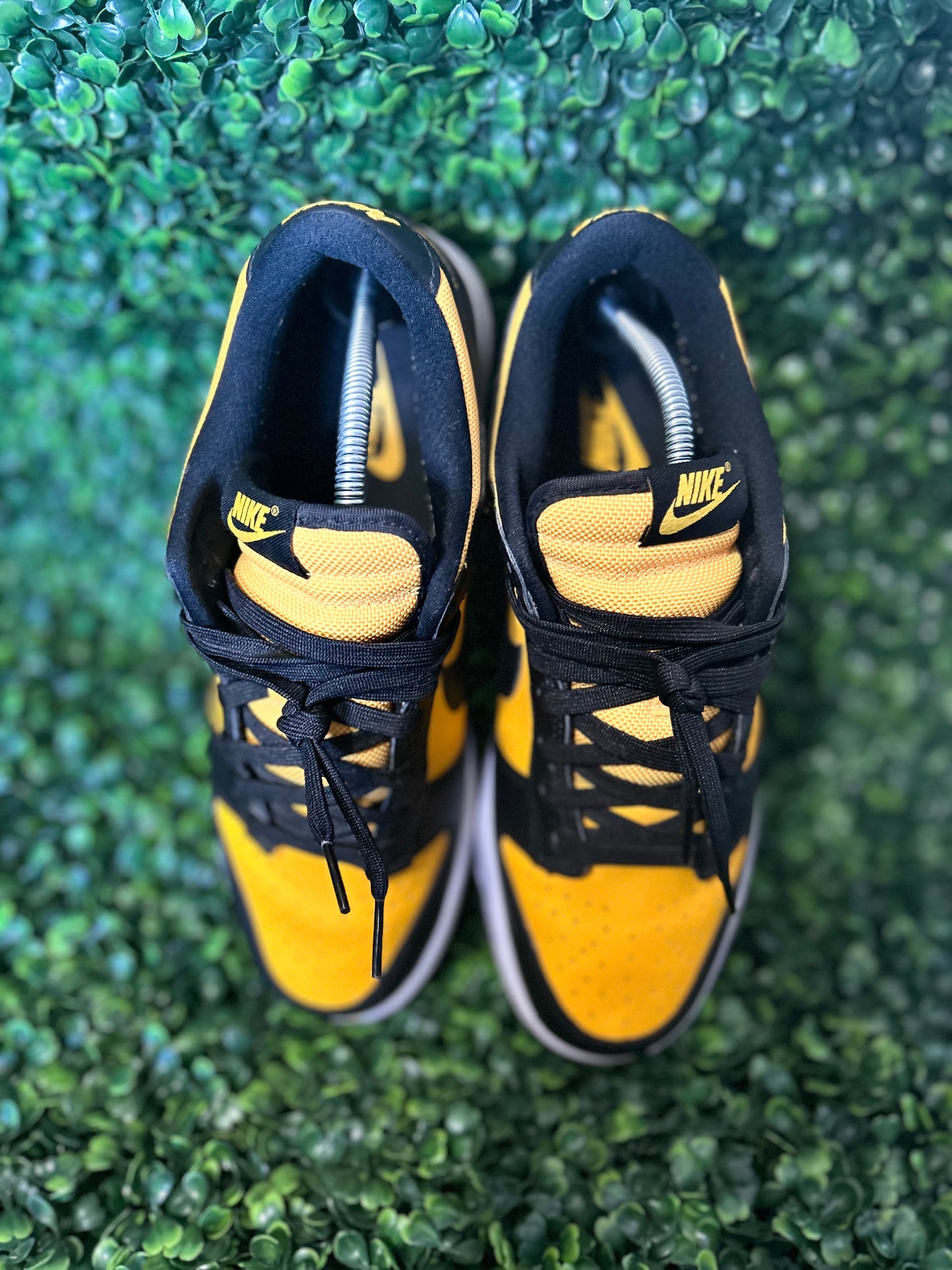Nike dunk size 10