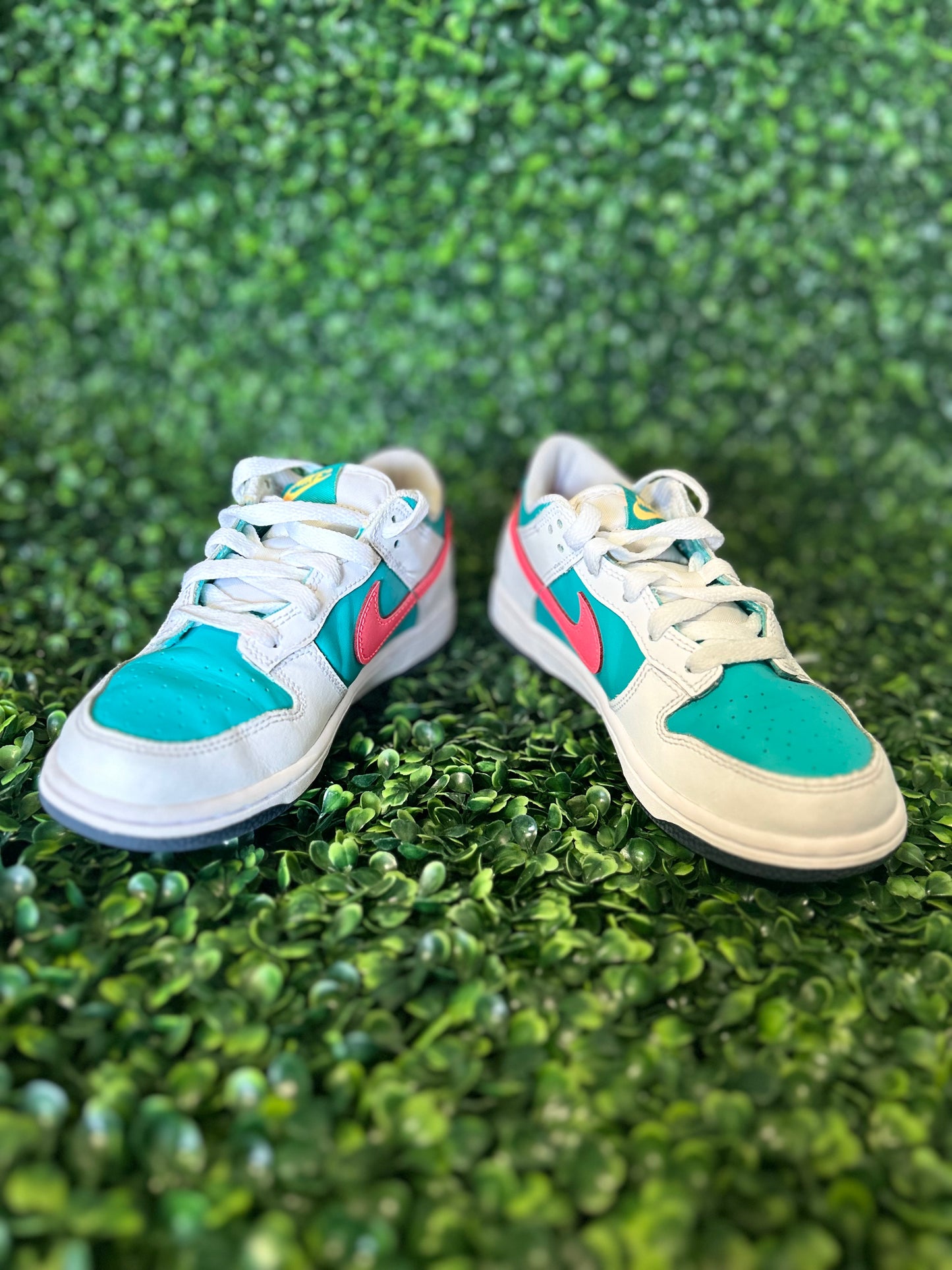 Nike dunk size 2y