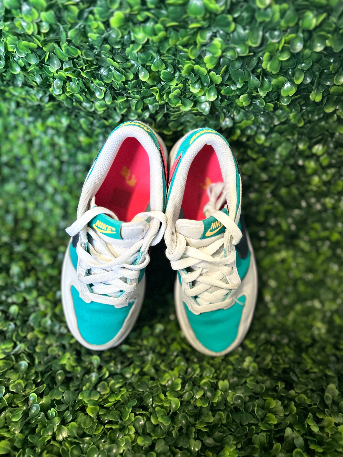 Nike dunk size 2y