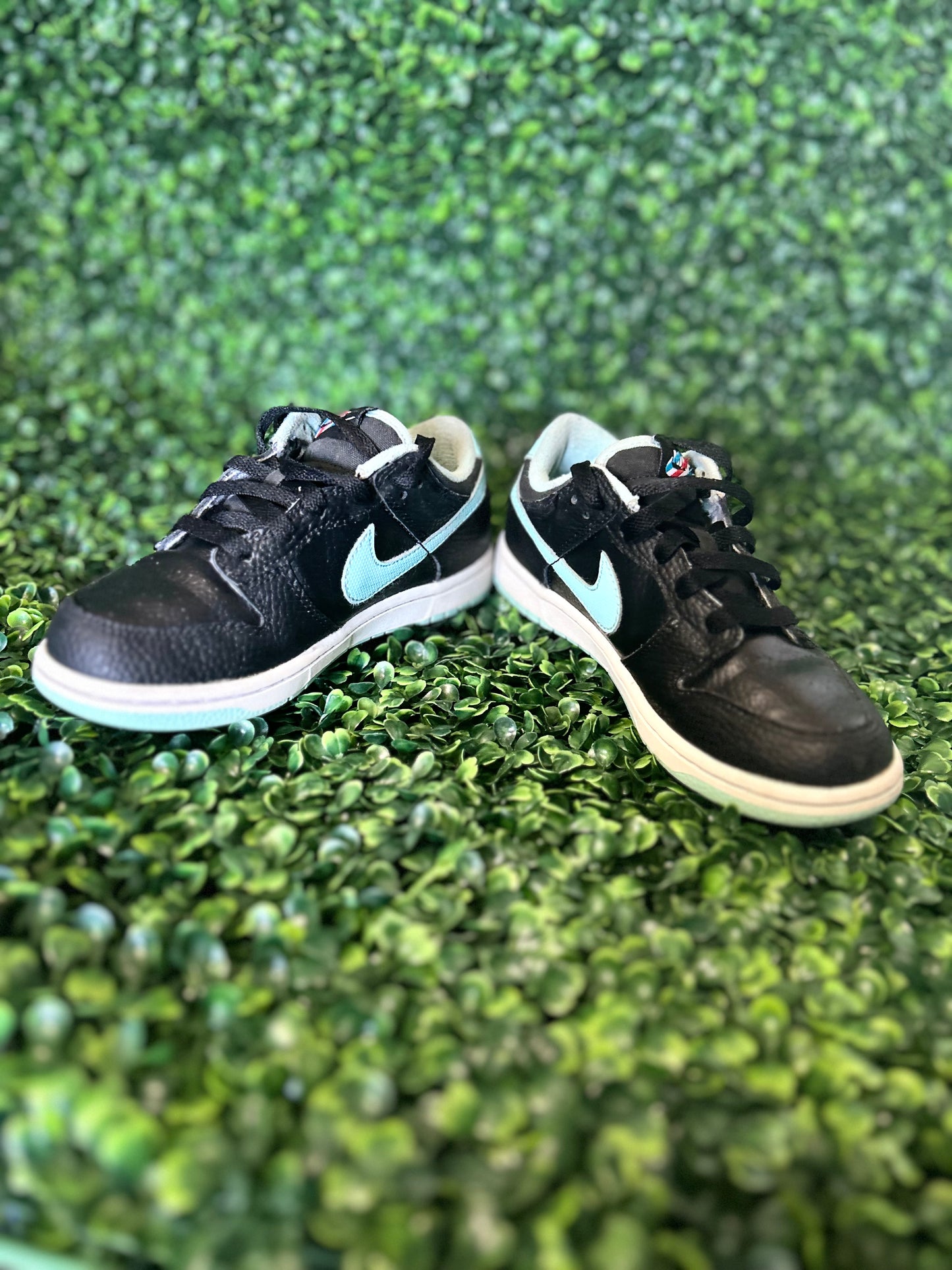 Nike dunk size 2y