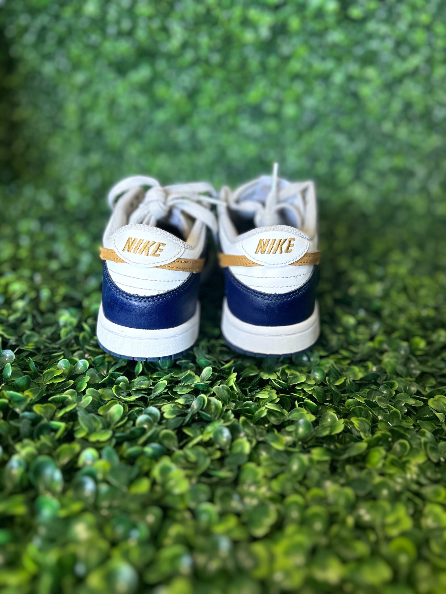 Nike dunk size 2y