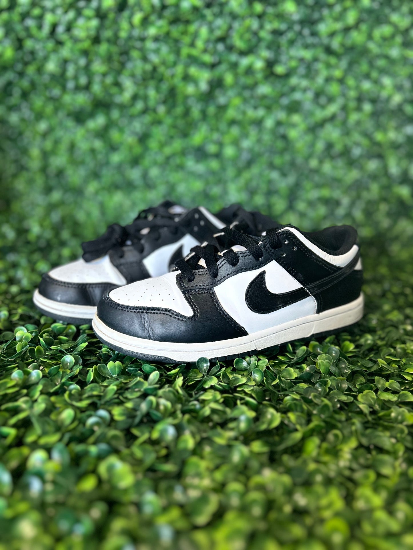 Nike dunk size 2y