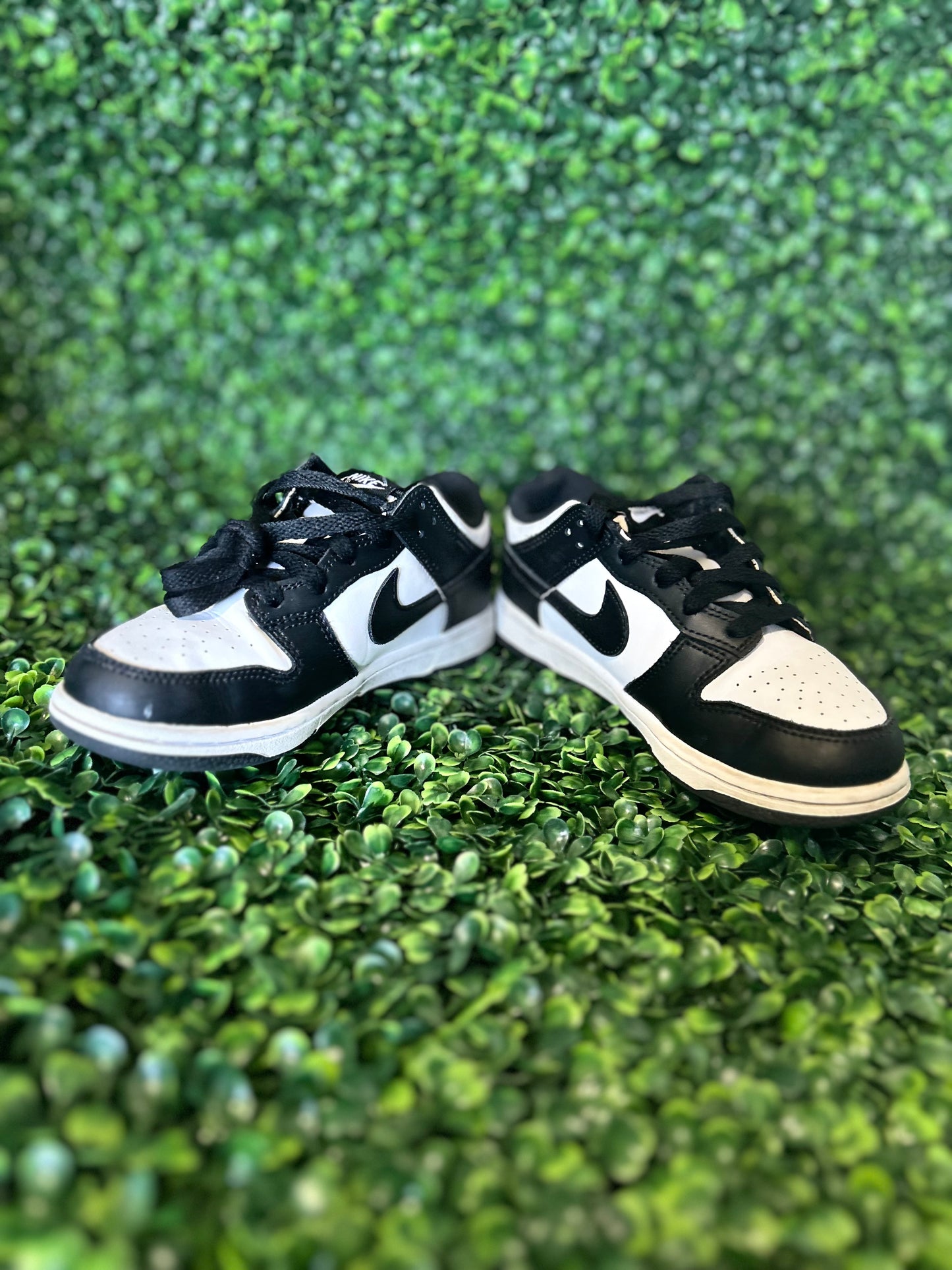 Nike dunk size 2y