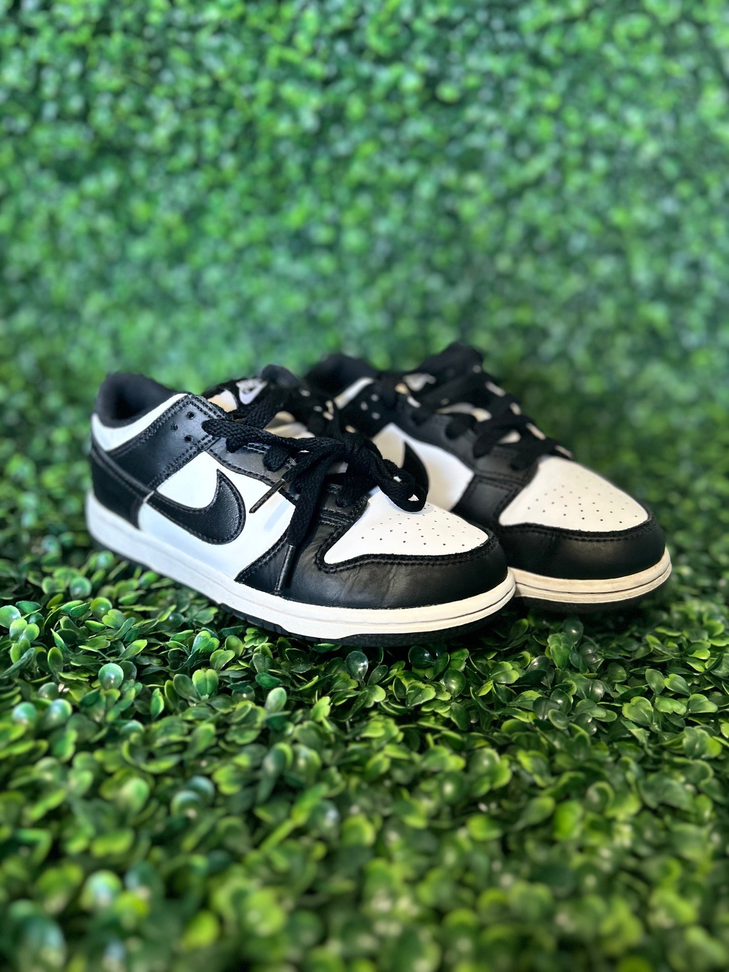 Nike dunk size 2y