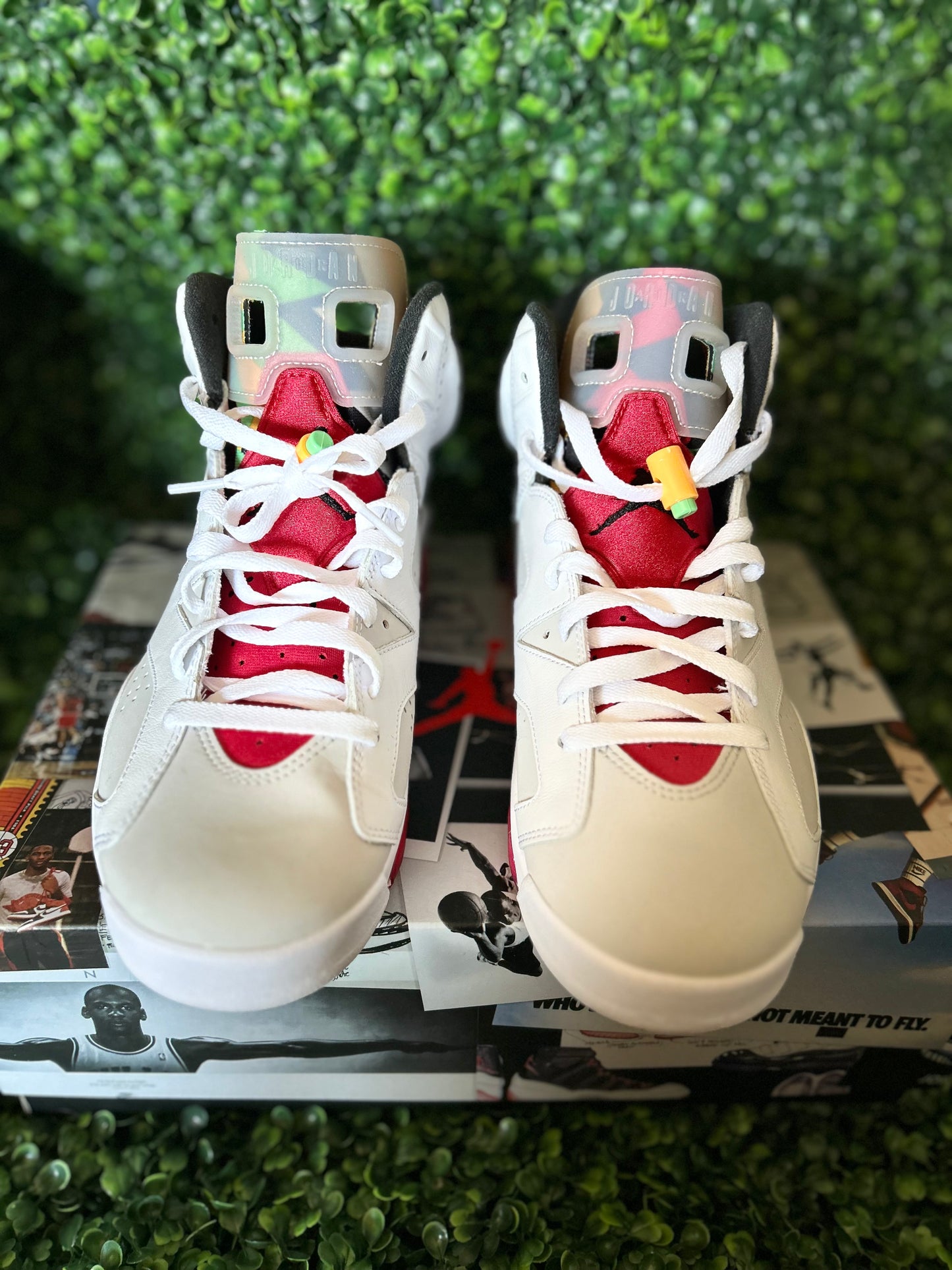 Jordan 6 hare size 10