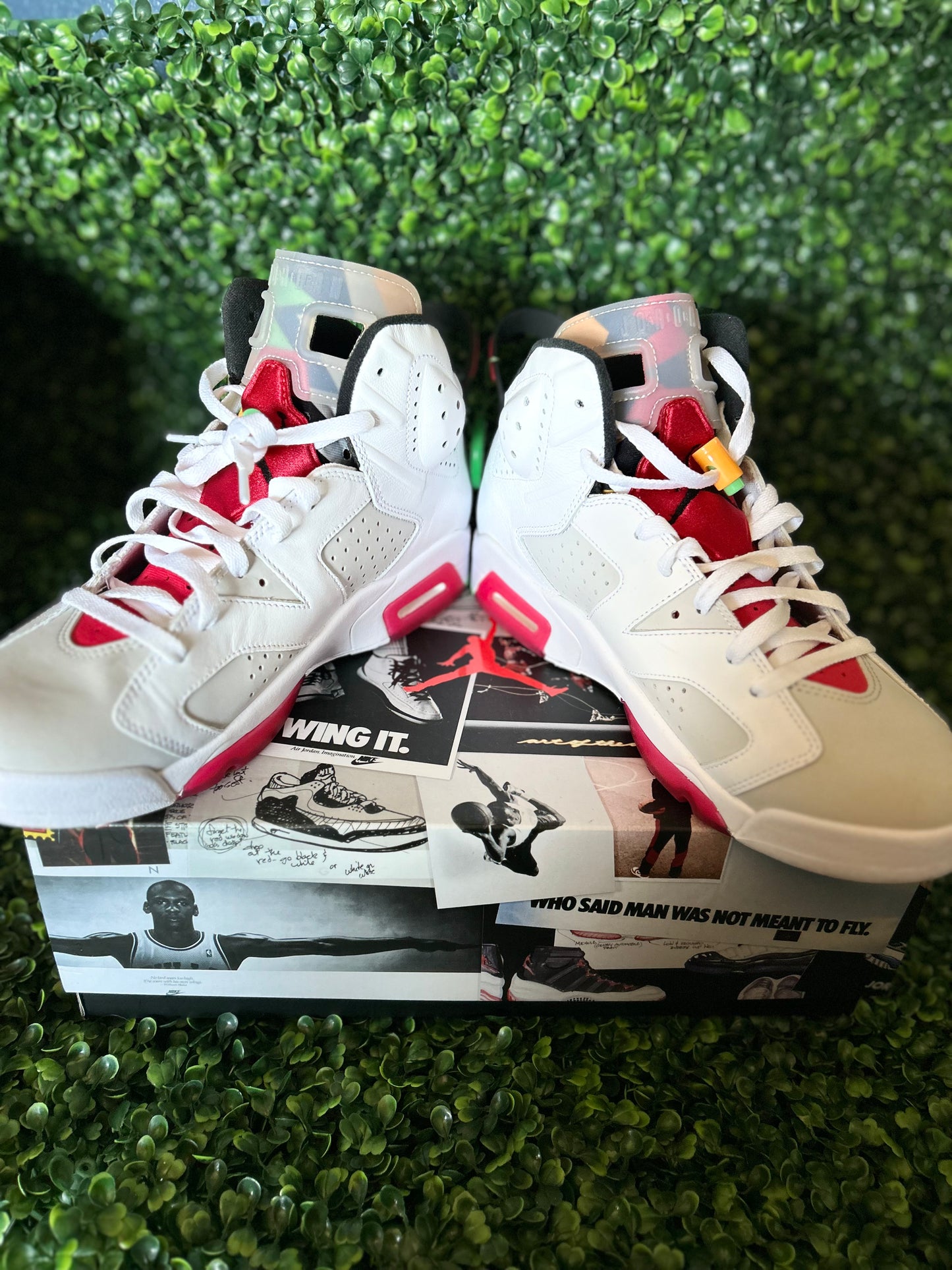 Jordan 6 hare size 10