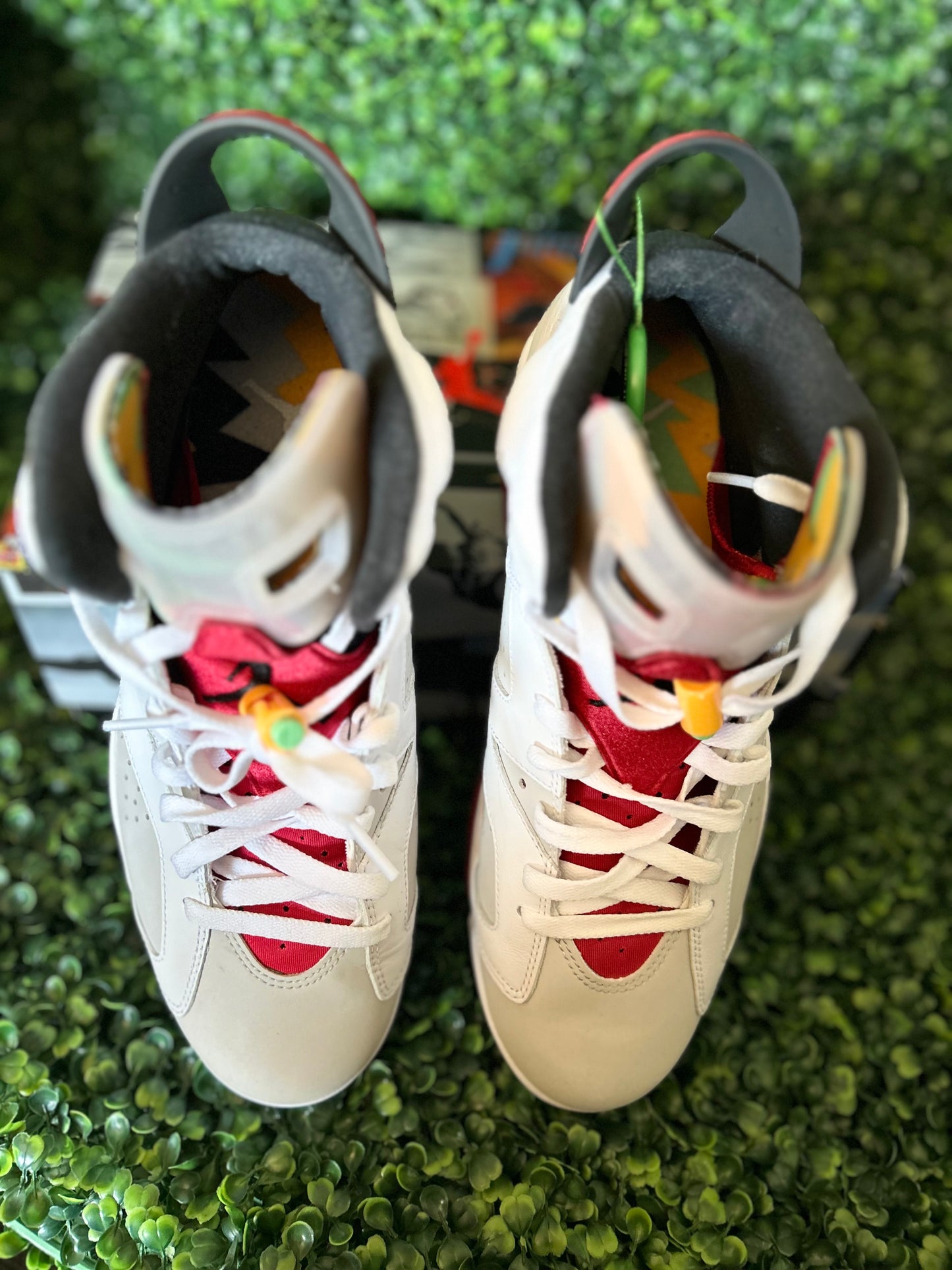 Jordan 6 hare size 10