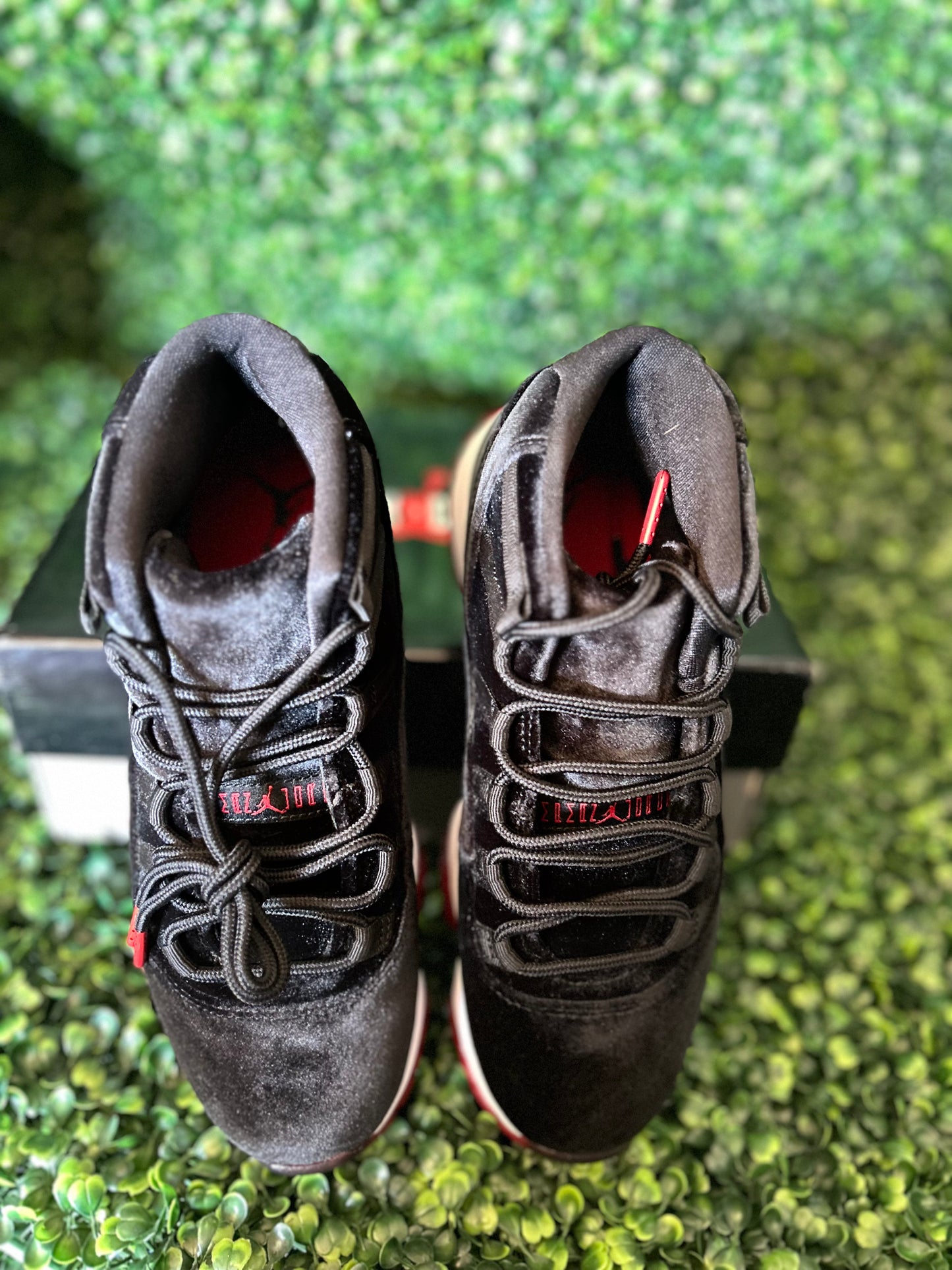 Jordan 11 size 8