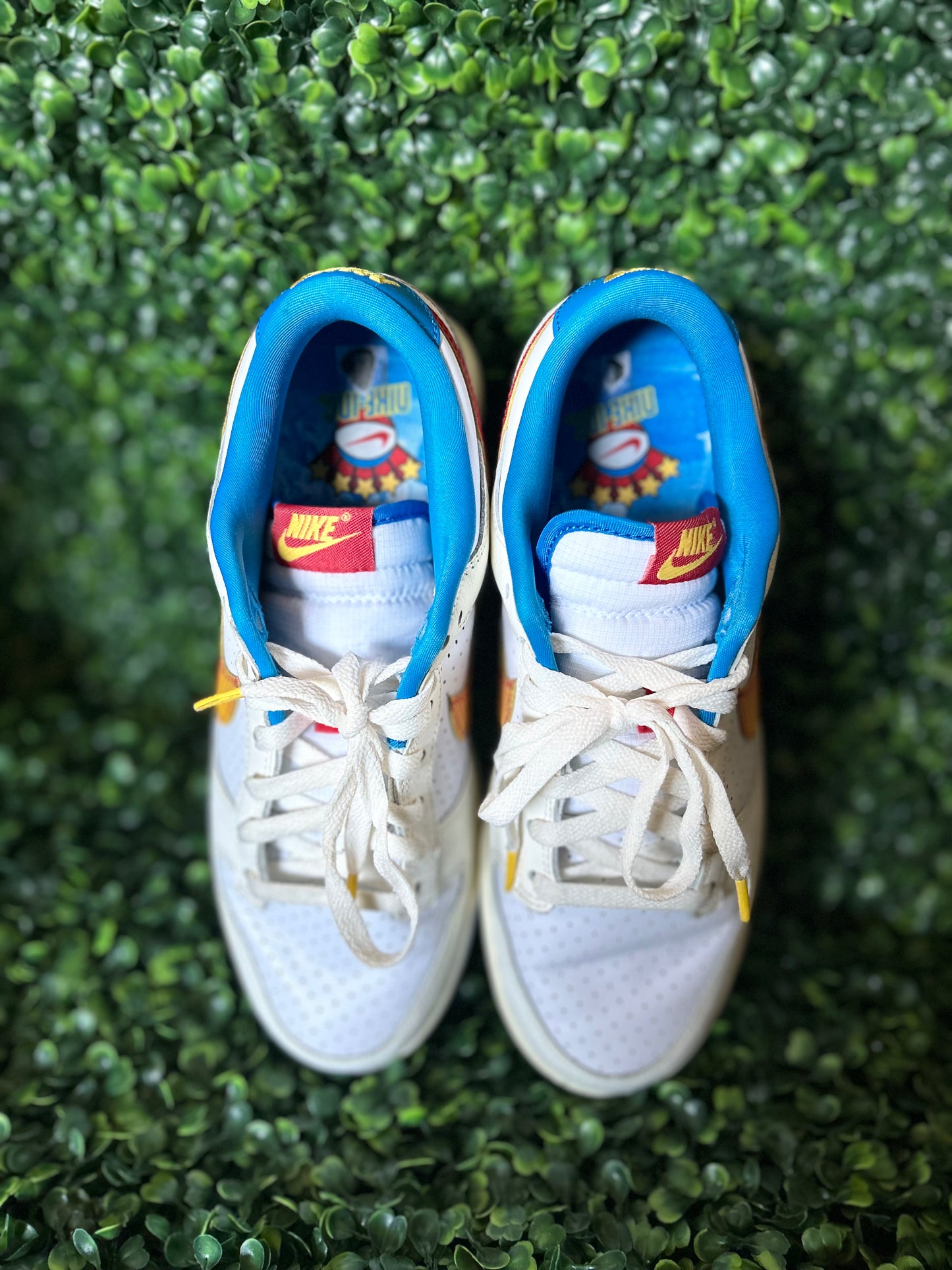 Nike dunk size 8.5