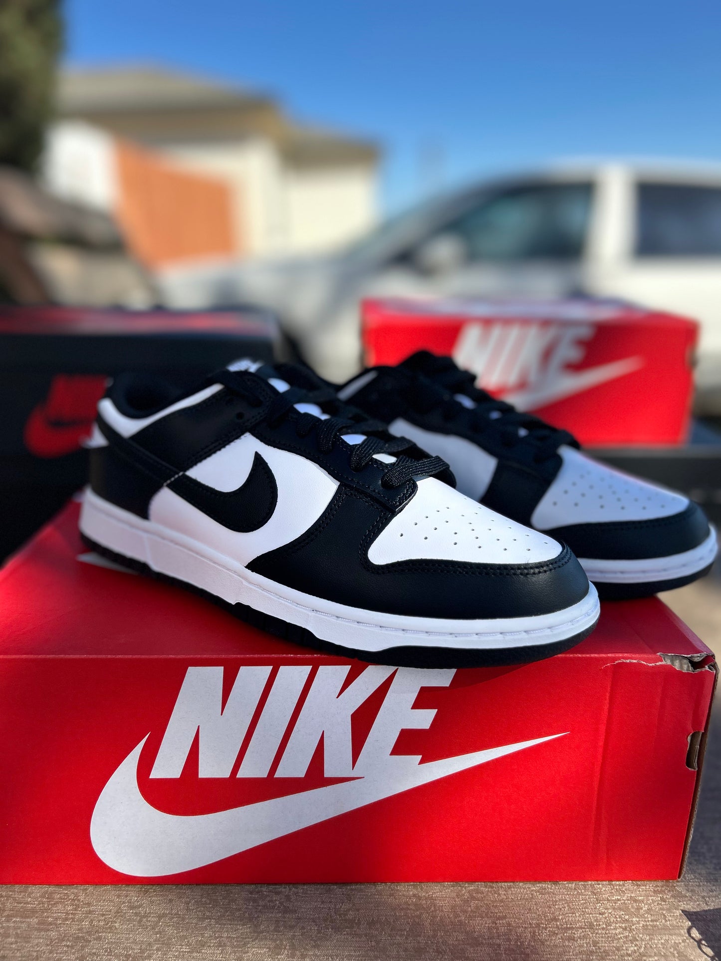 Nike dunk size 9.5