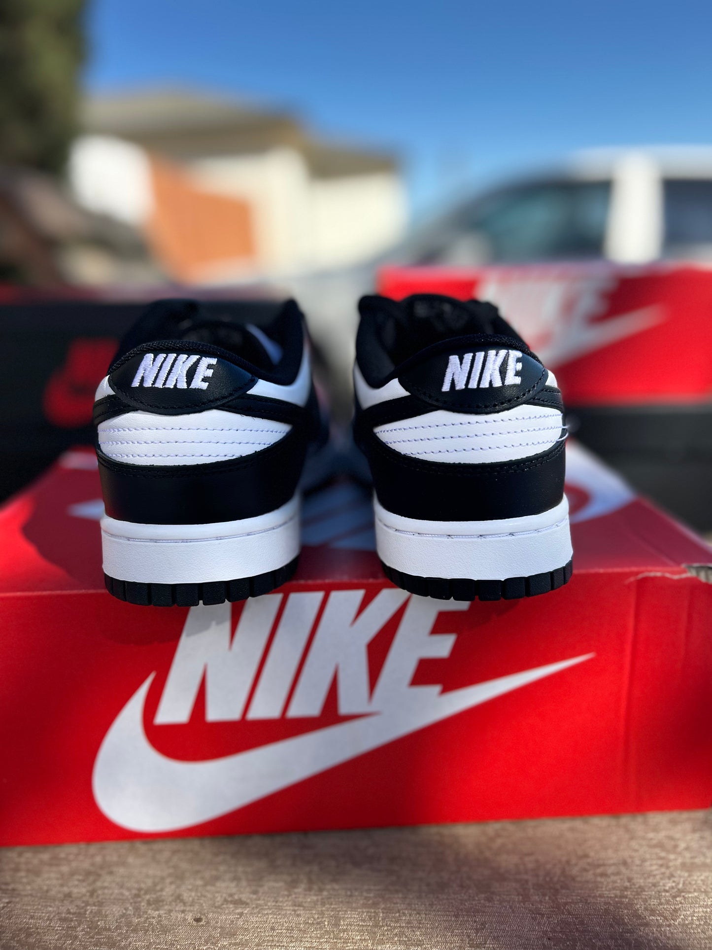 Nike dunk size 9.5