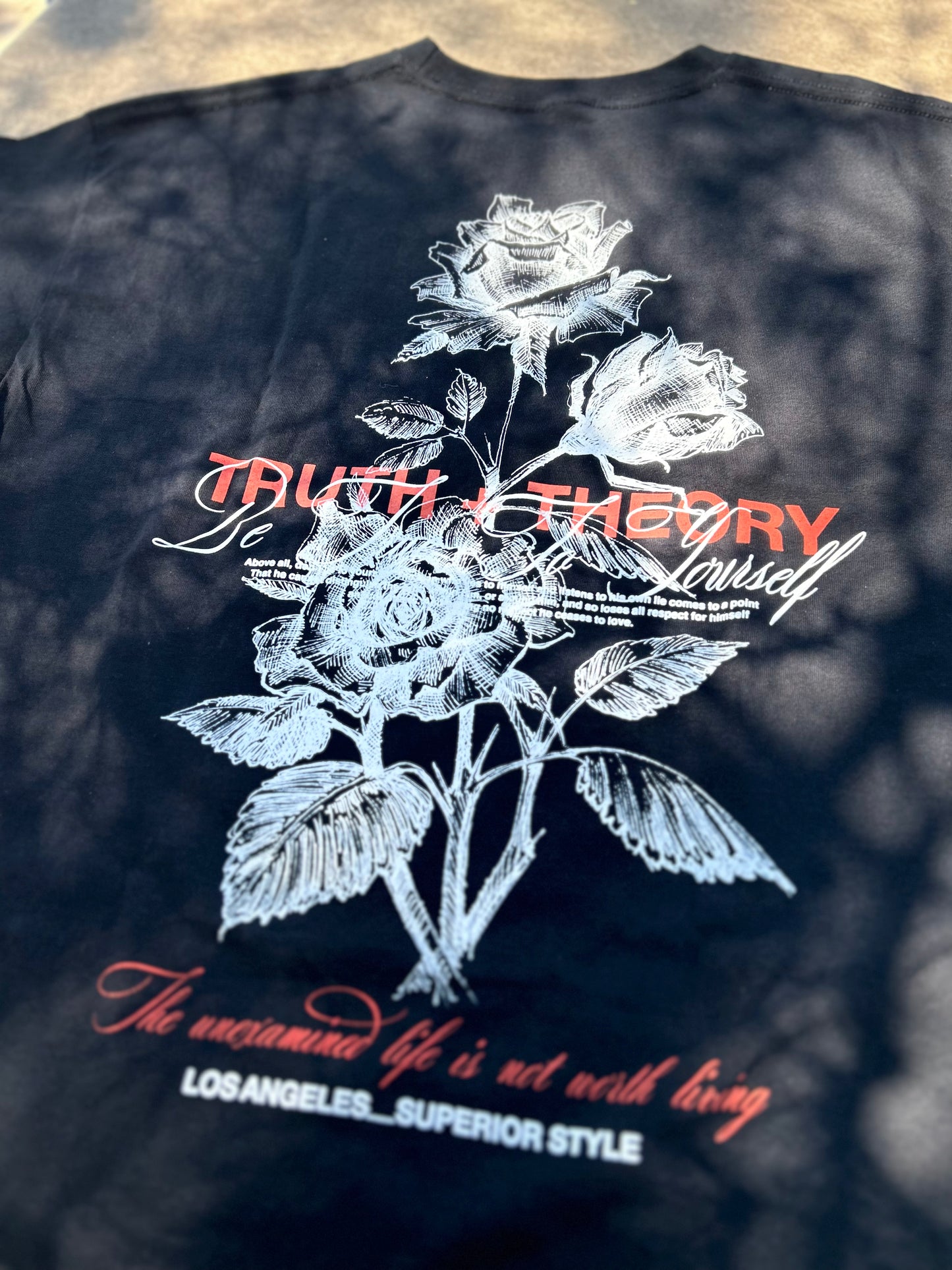 Truth and theory