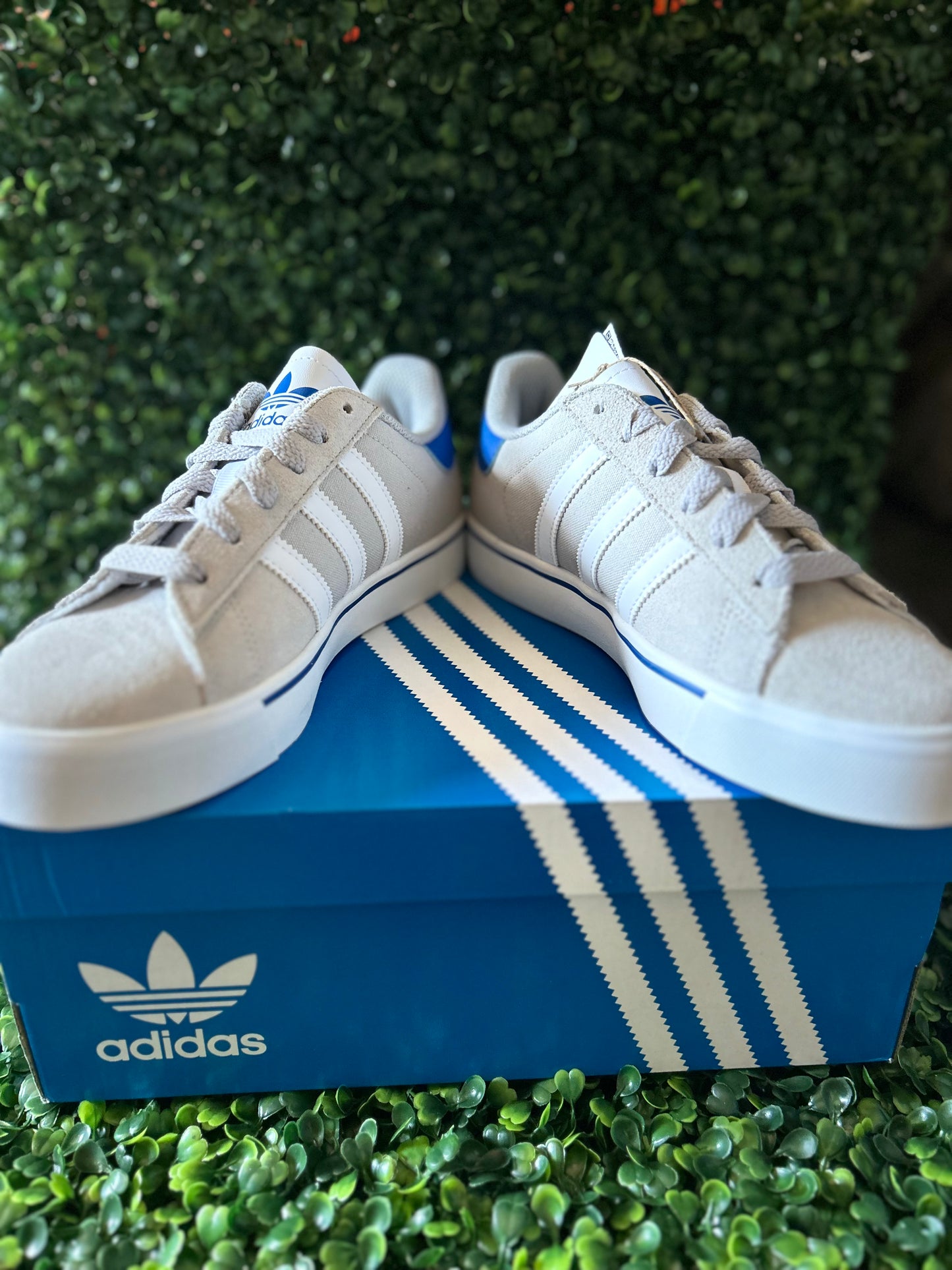 Adidas campus vulc
