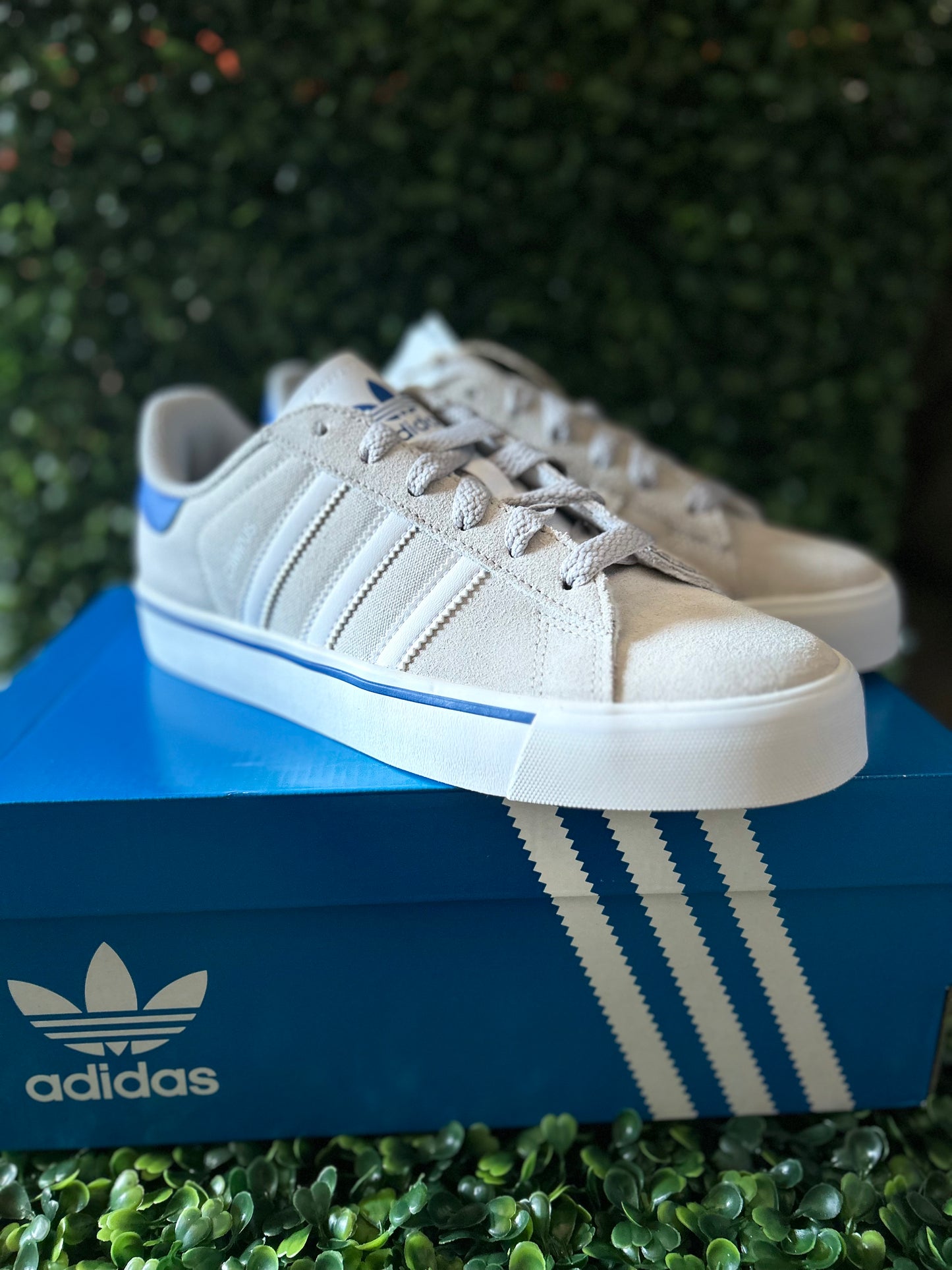 Adidas campus vulc