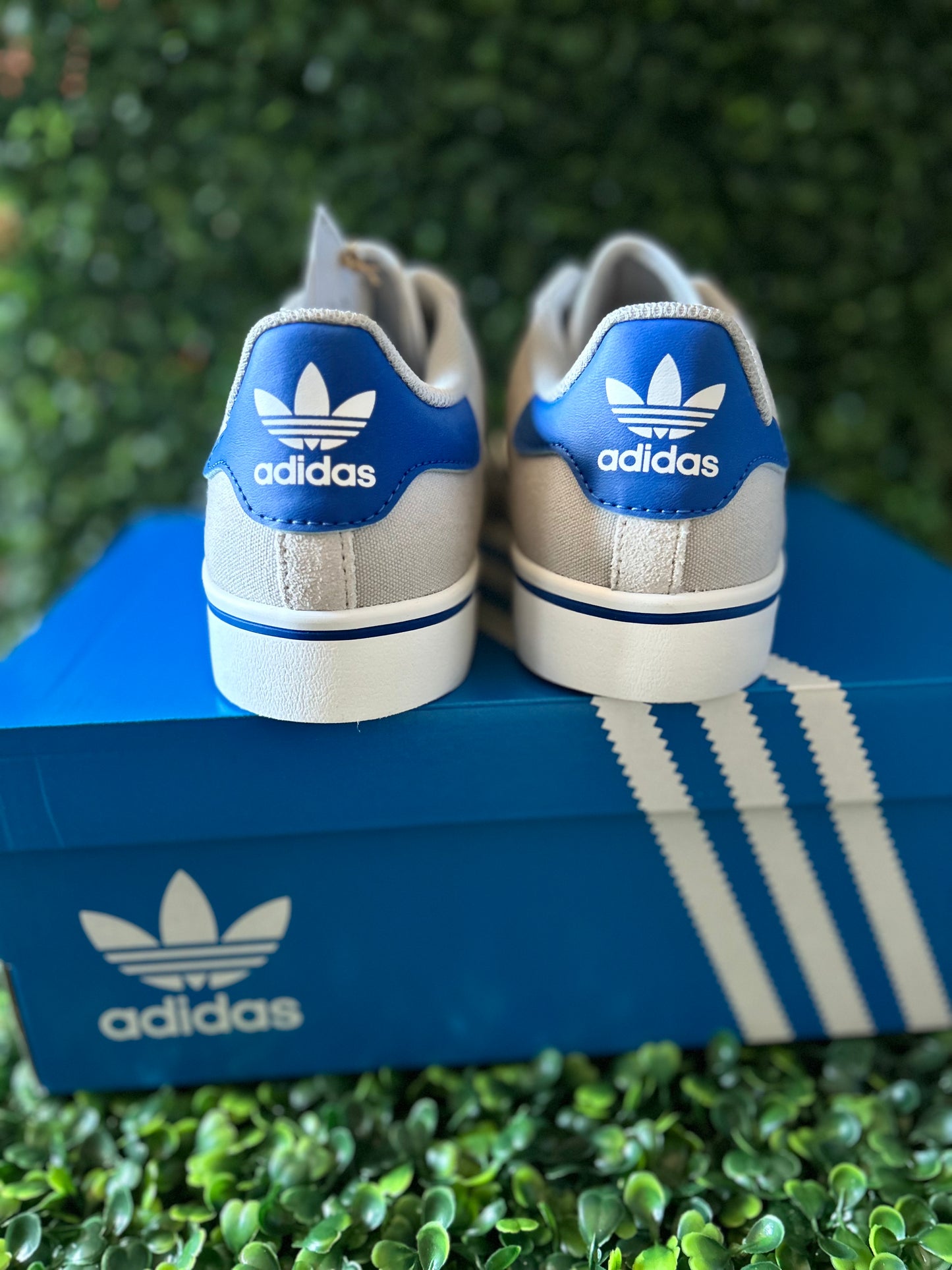 Adidas campus vulc