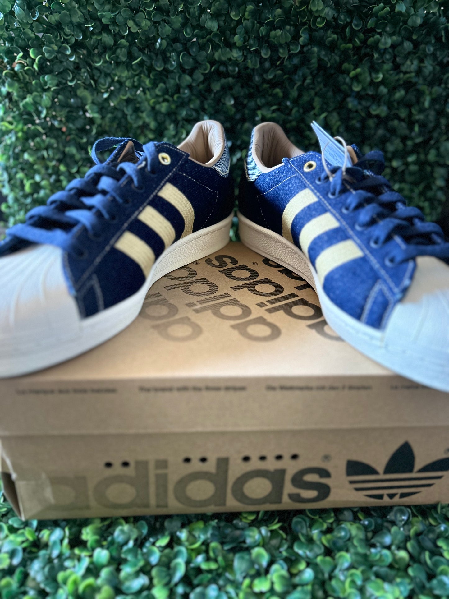 Adidas superstar