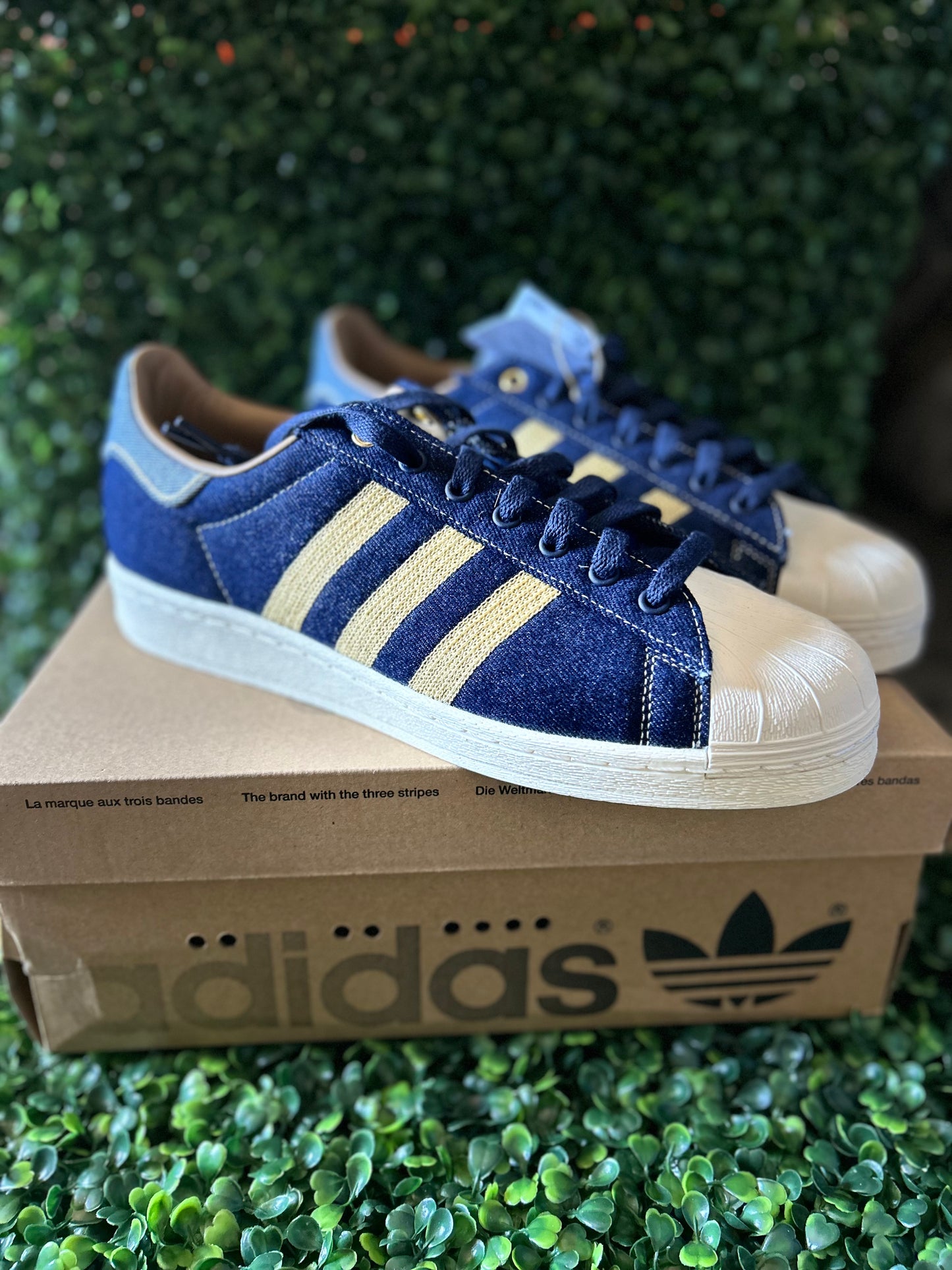 Adidas superstar
