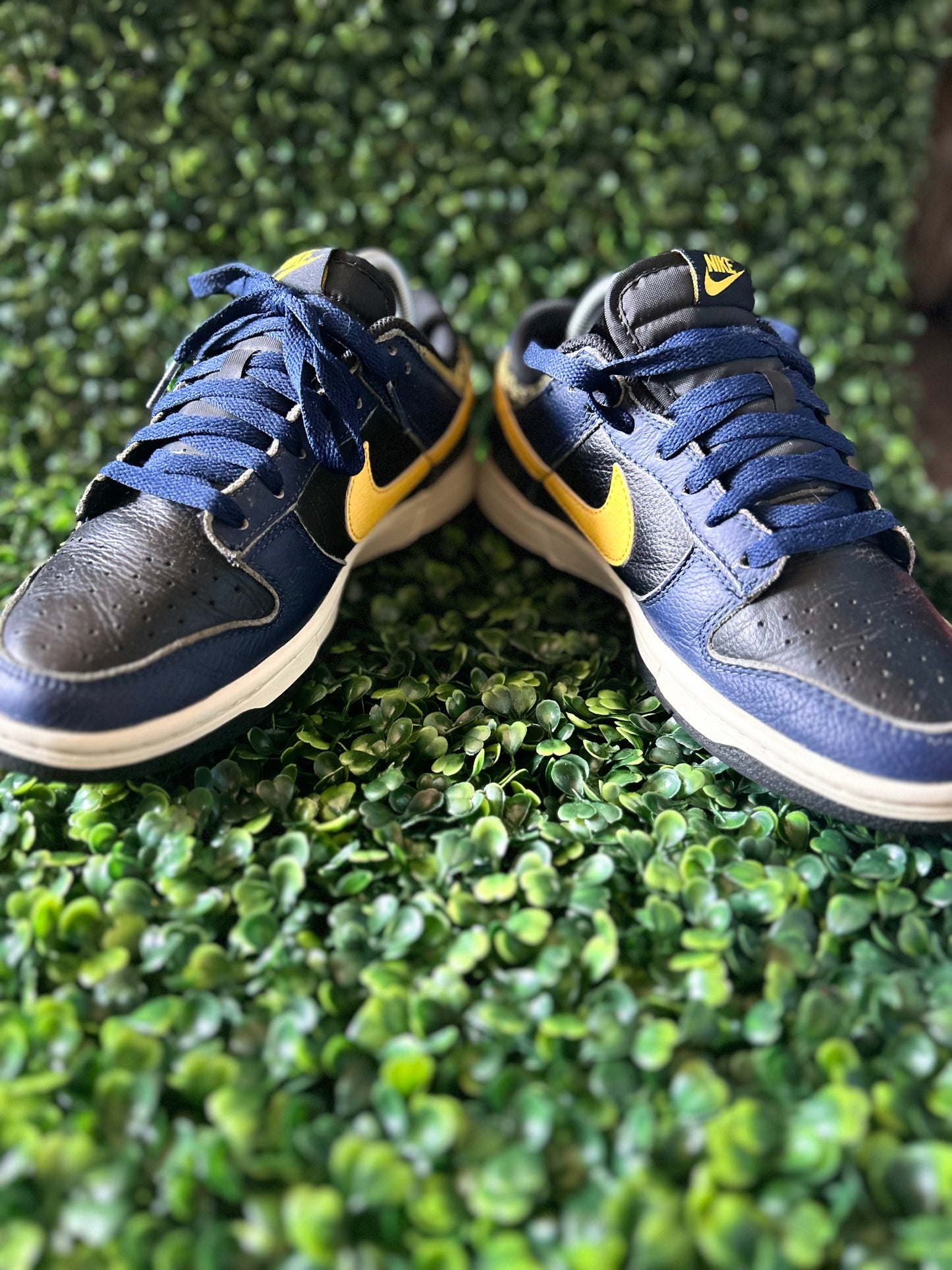 Nike dunk