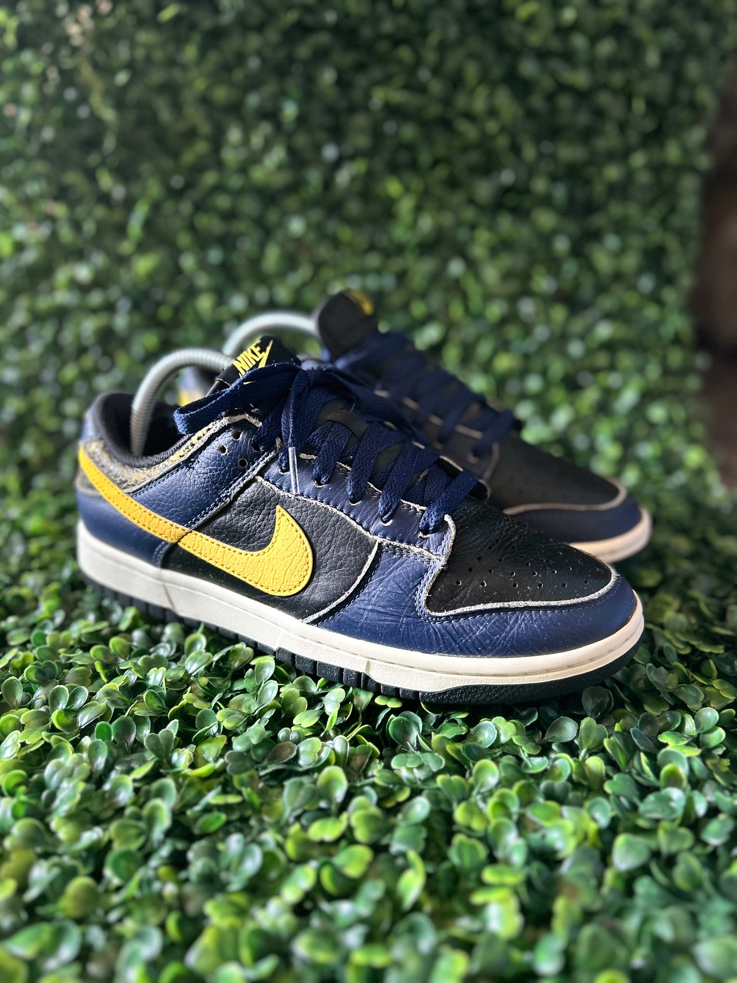 Nike dunk