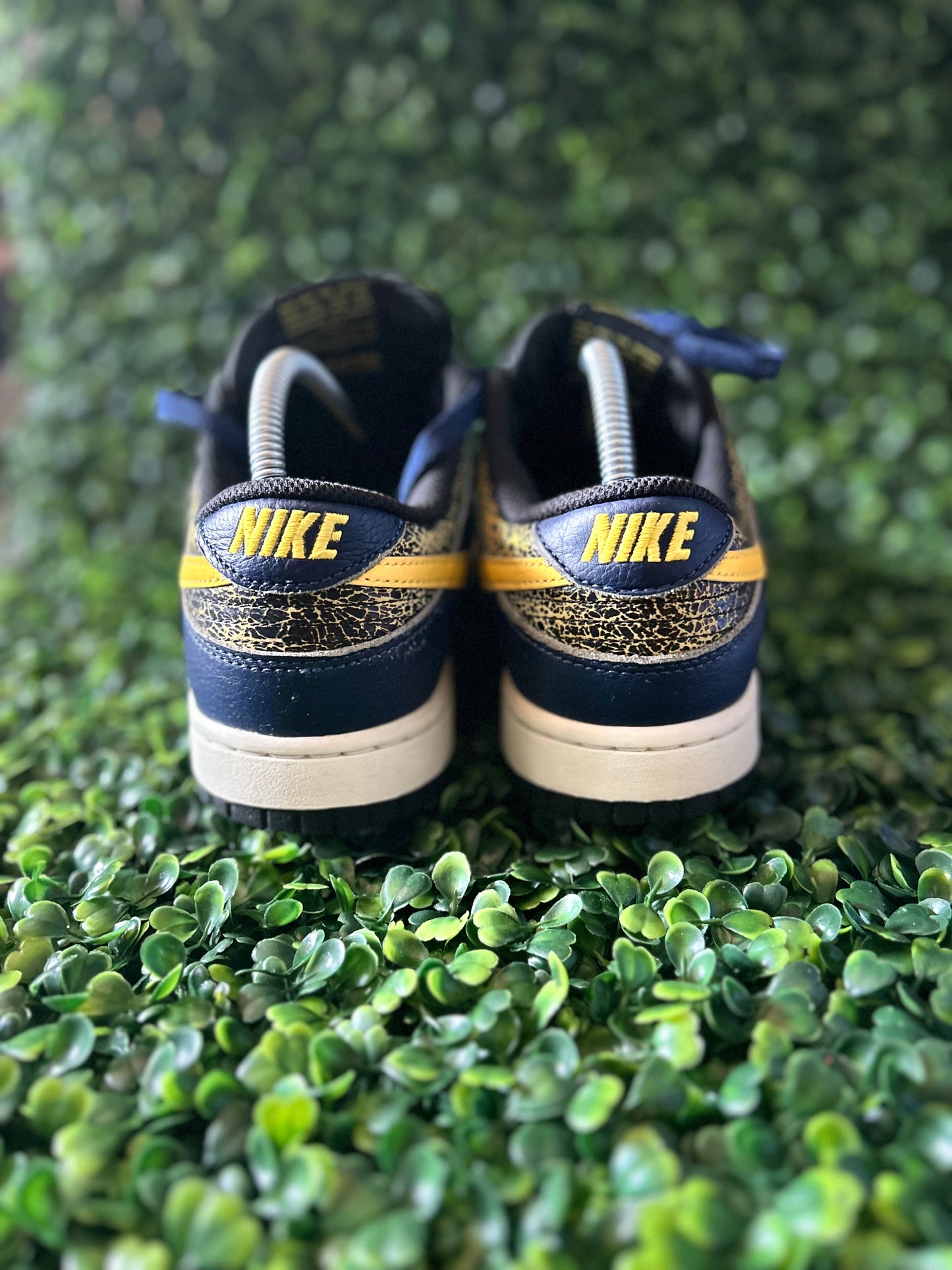 Nike dunk