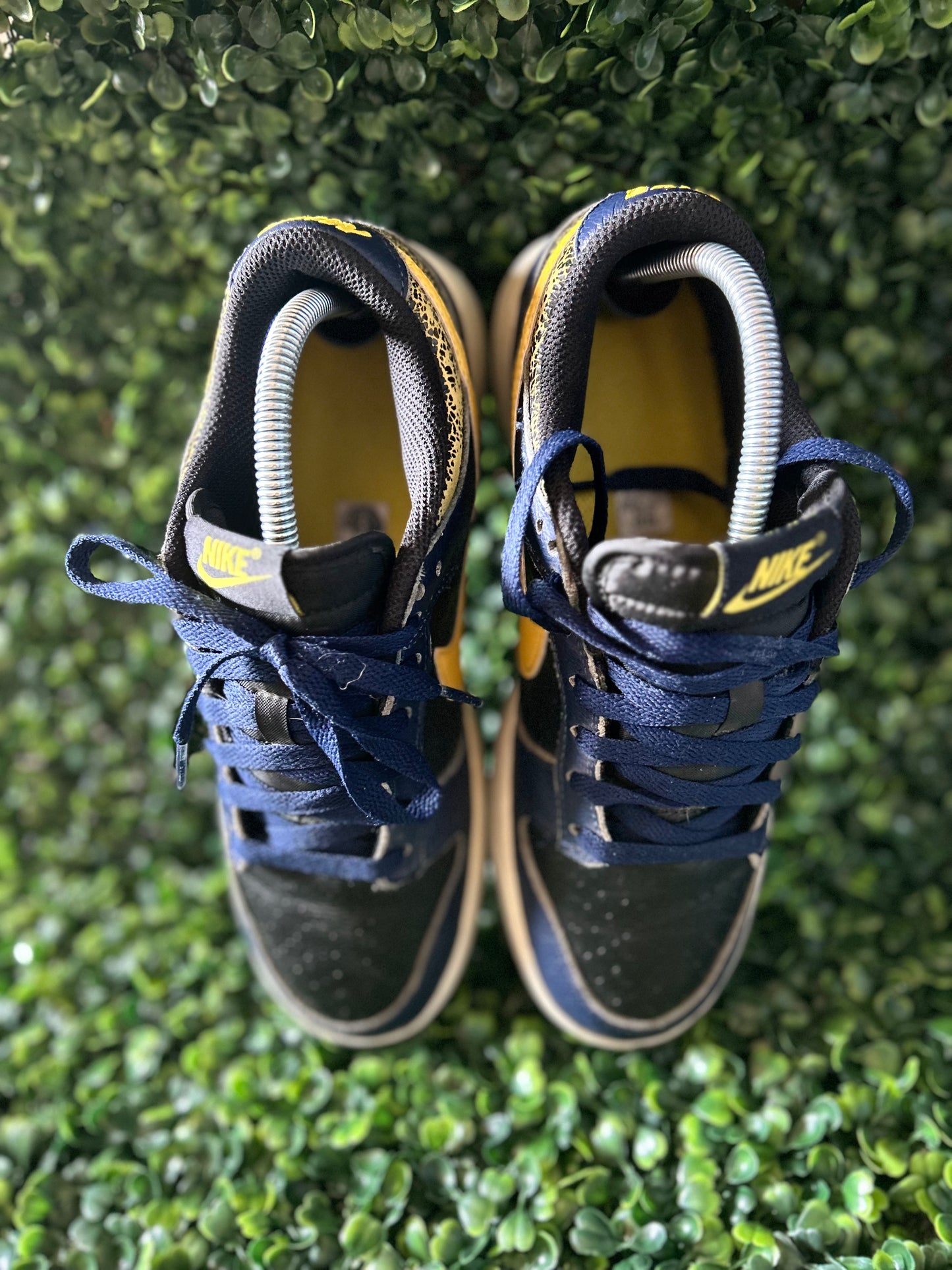 Nike dunk
