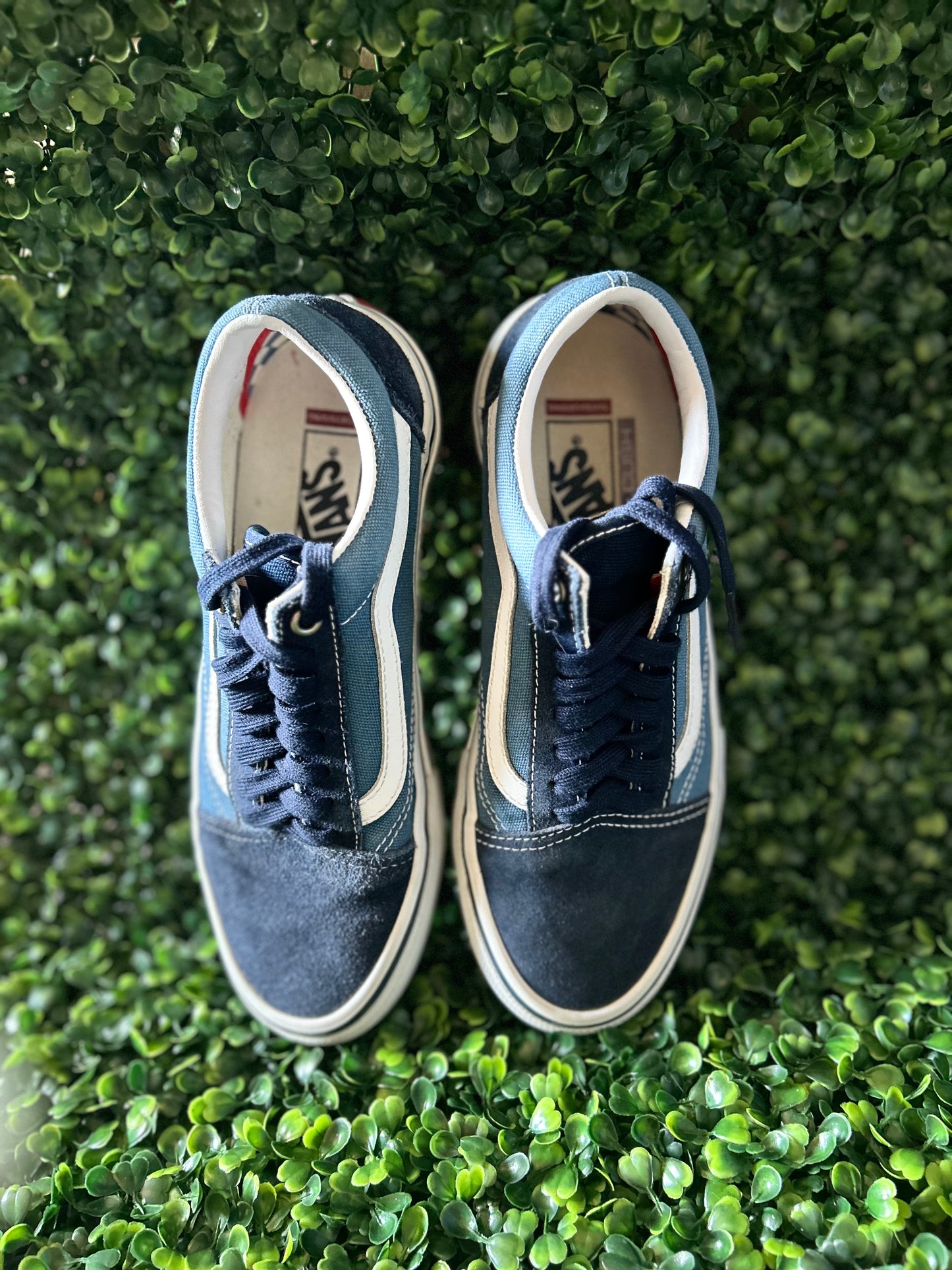 Vans